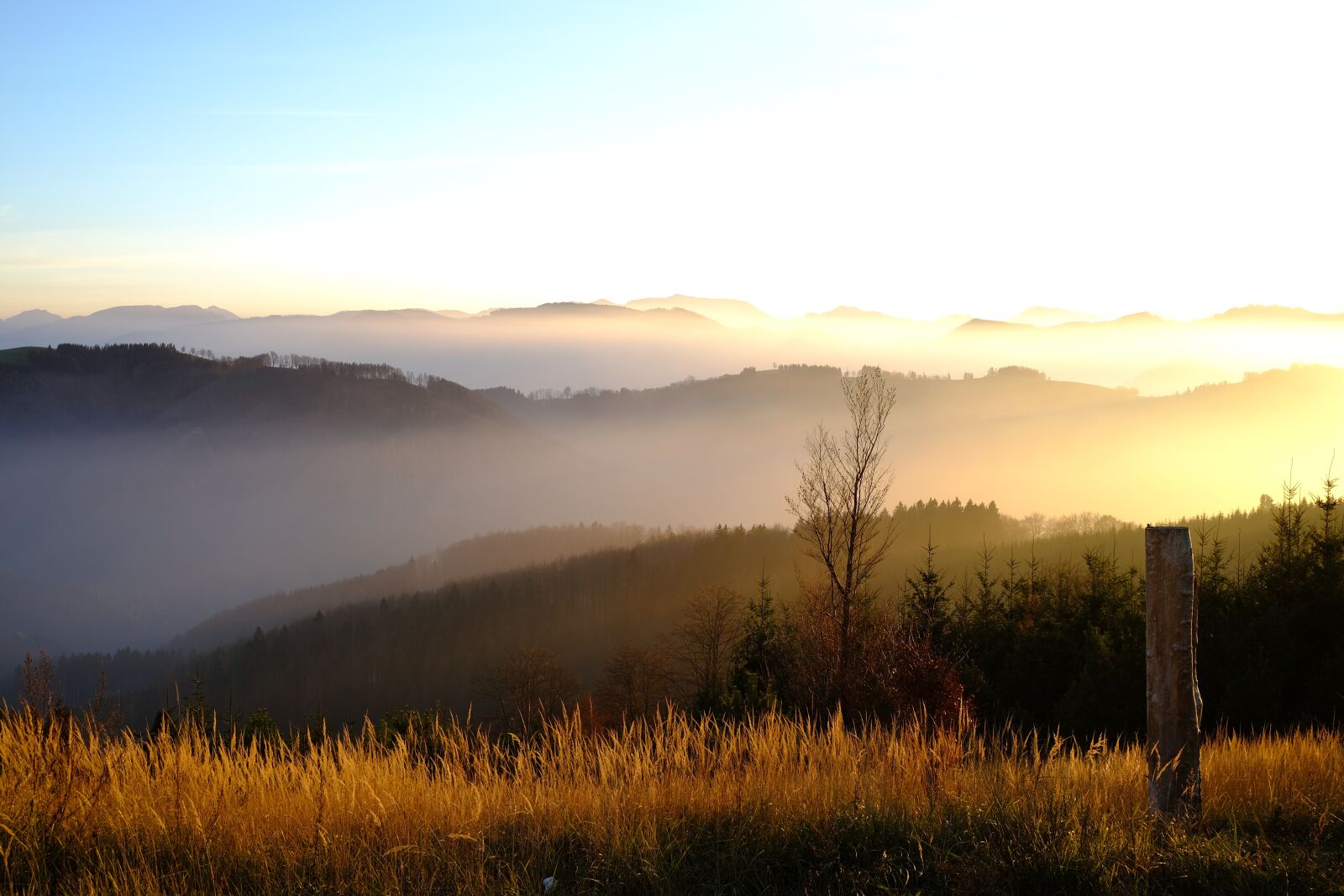 Fujifilm XC 15-45mm F3.5-5.6 OIS PZ sample photo. Nature, landscape, autumn photography