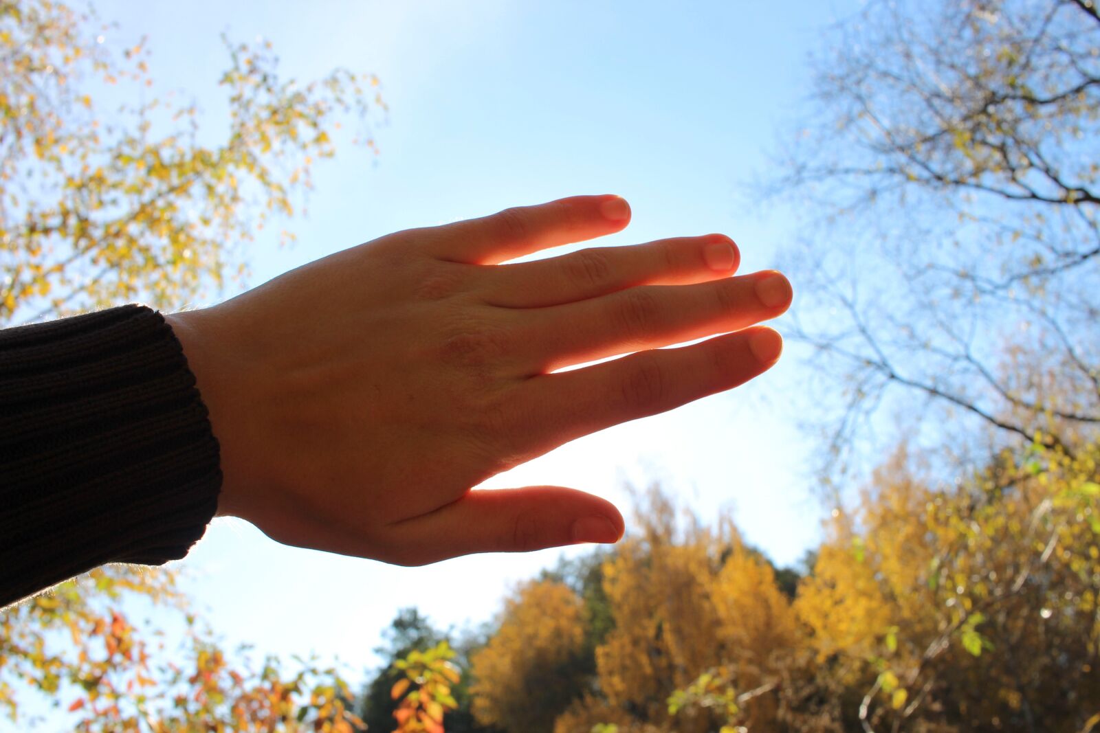 Canon EF-S 24mm F2.8 STM sample photo. Hand, dazzle, hell photography