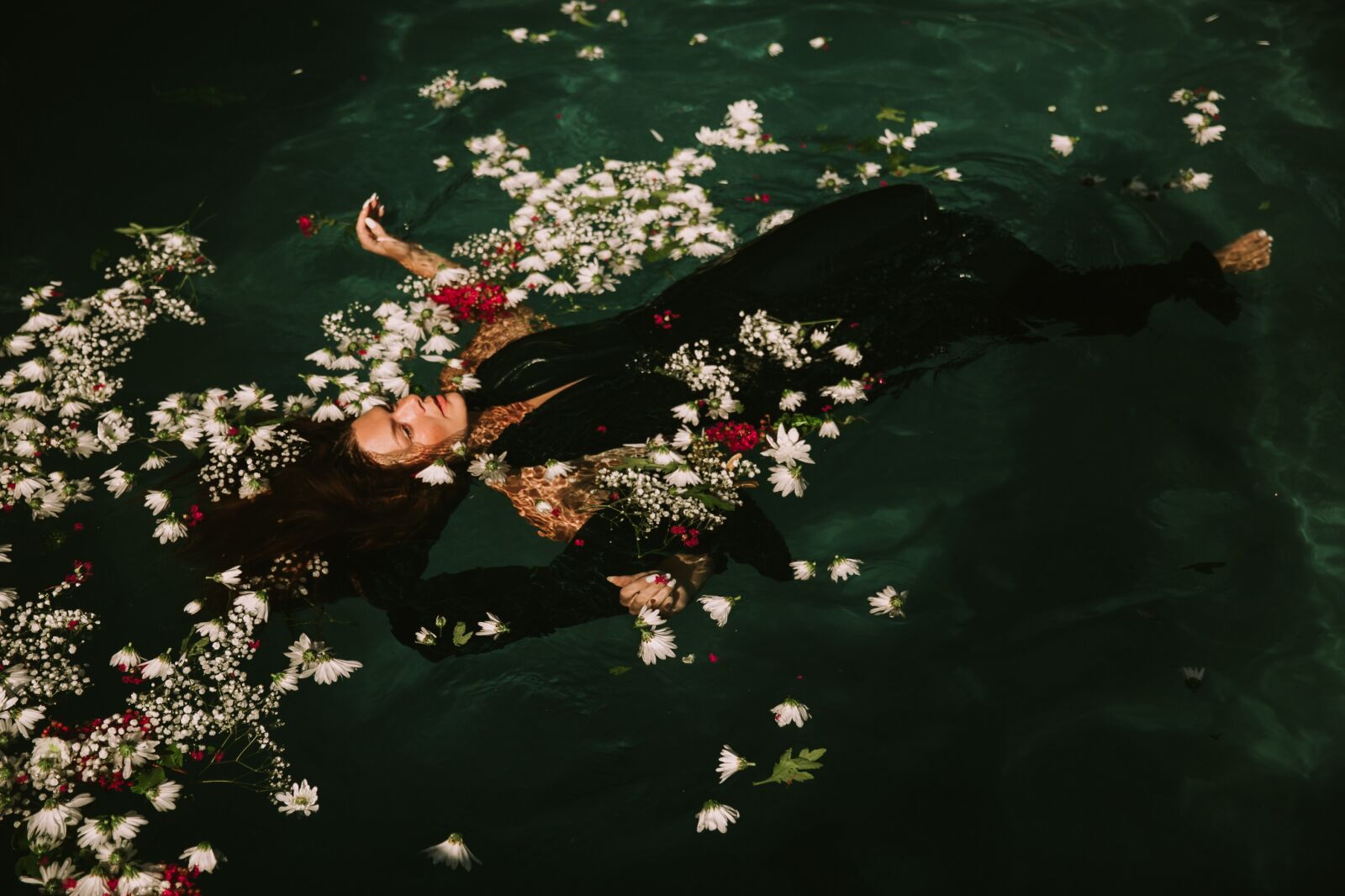 Canon EF 24-70mm F2.8L II USM sample photo. Floating, flowers, petals photography