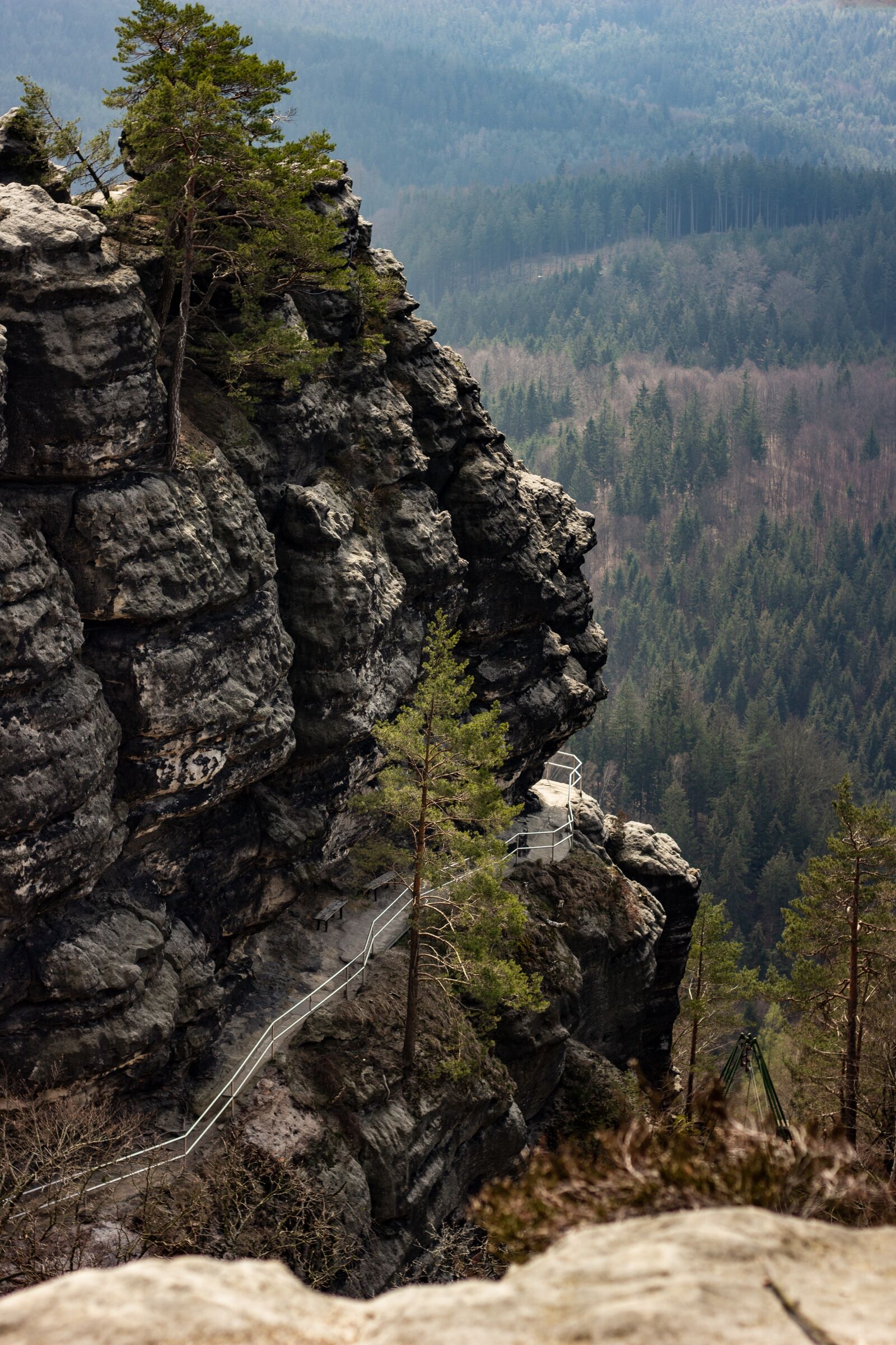 Canon EOS 600D (Rebel EOS T3i / EOS Kiss X5) + Canon EF 50mm F1.8 STM sample photo. Elbe sandstone, travel, nature photography