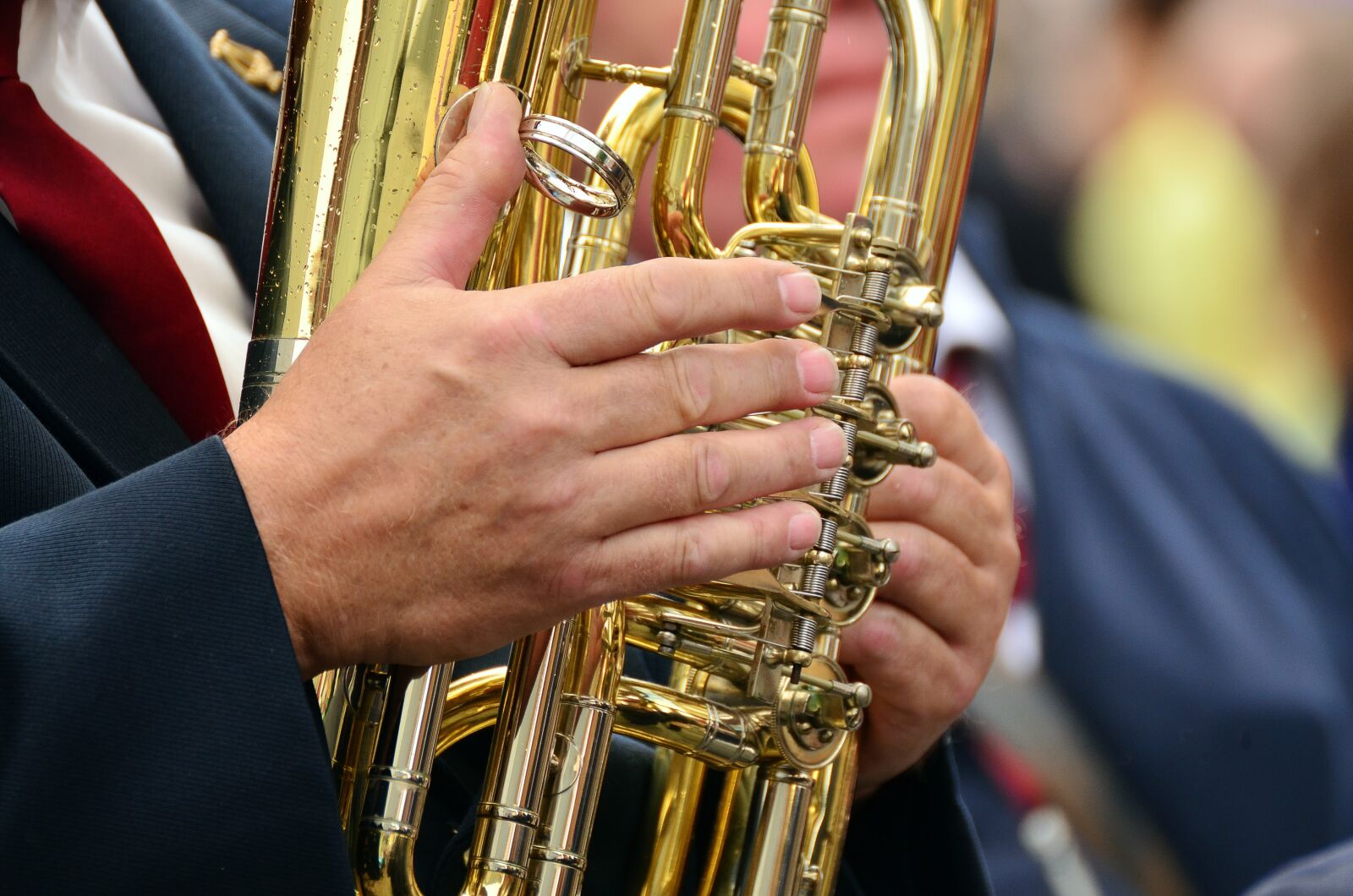 Nikon D5100 sample photo. Hands, musical instrument, tuba photography