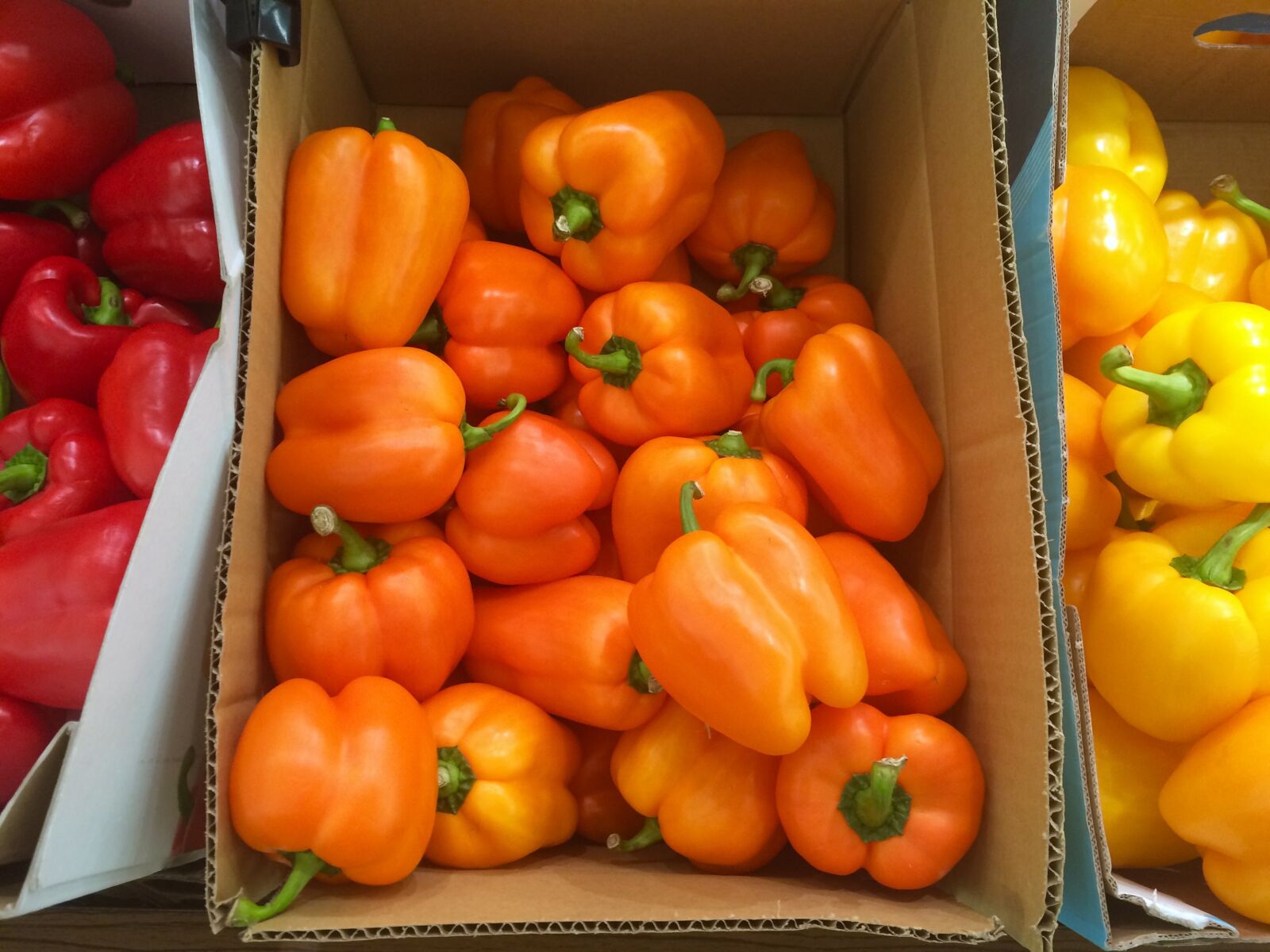 iPhone 5s back camera 4.15mm f/2.2 sample photo. Orange, paprika, yellow photography