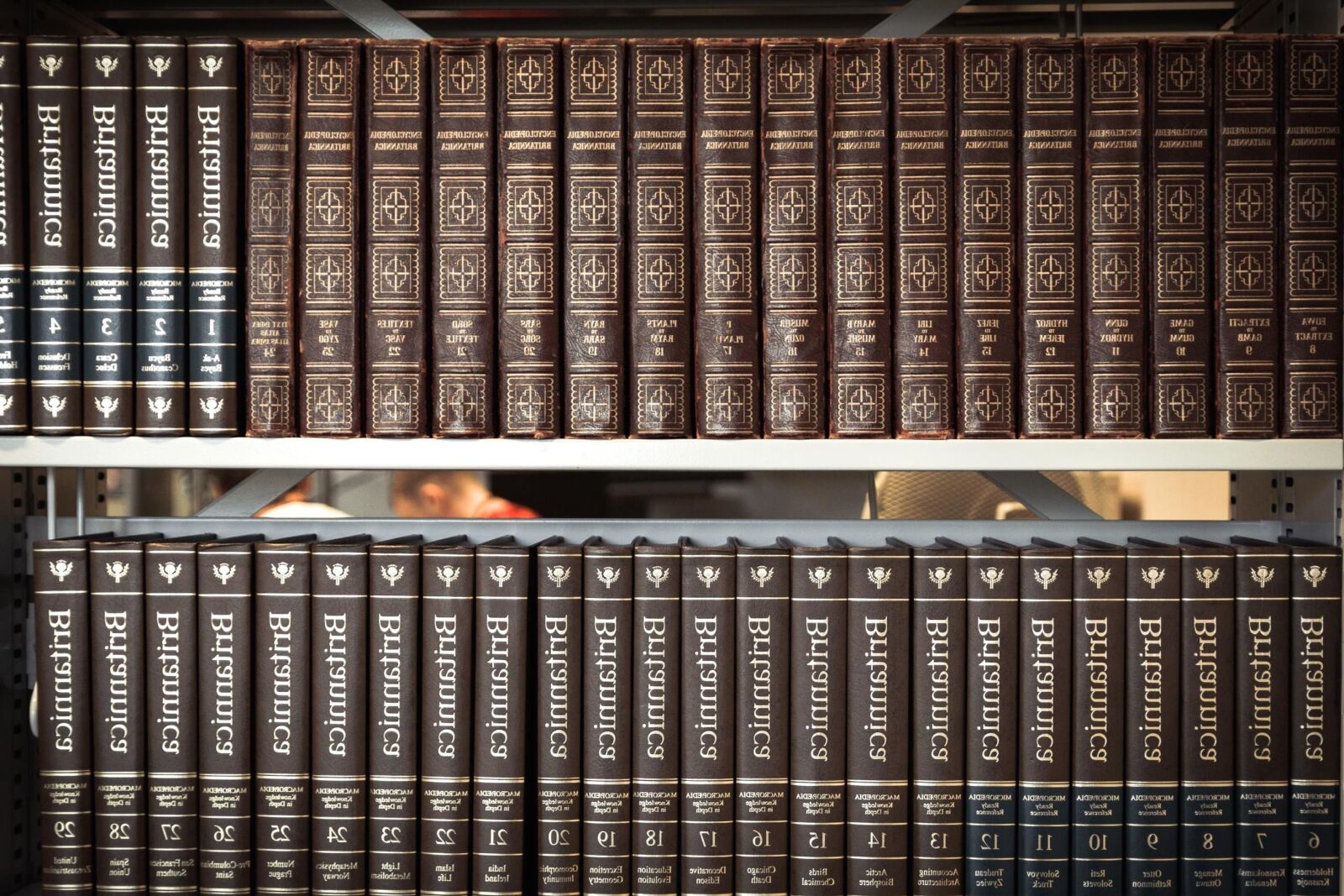 Canon EOS 70D sample photo. Book, library, shelf, book photography