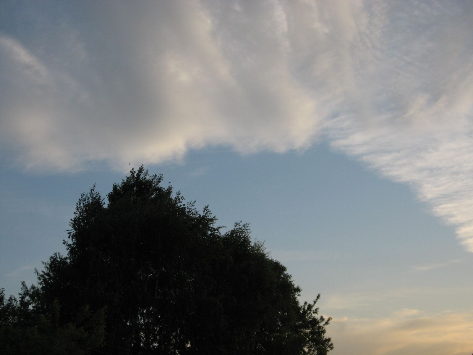 Canon POWERSHOT A550 sample photo. Beautiful, evening, clouds photography