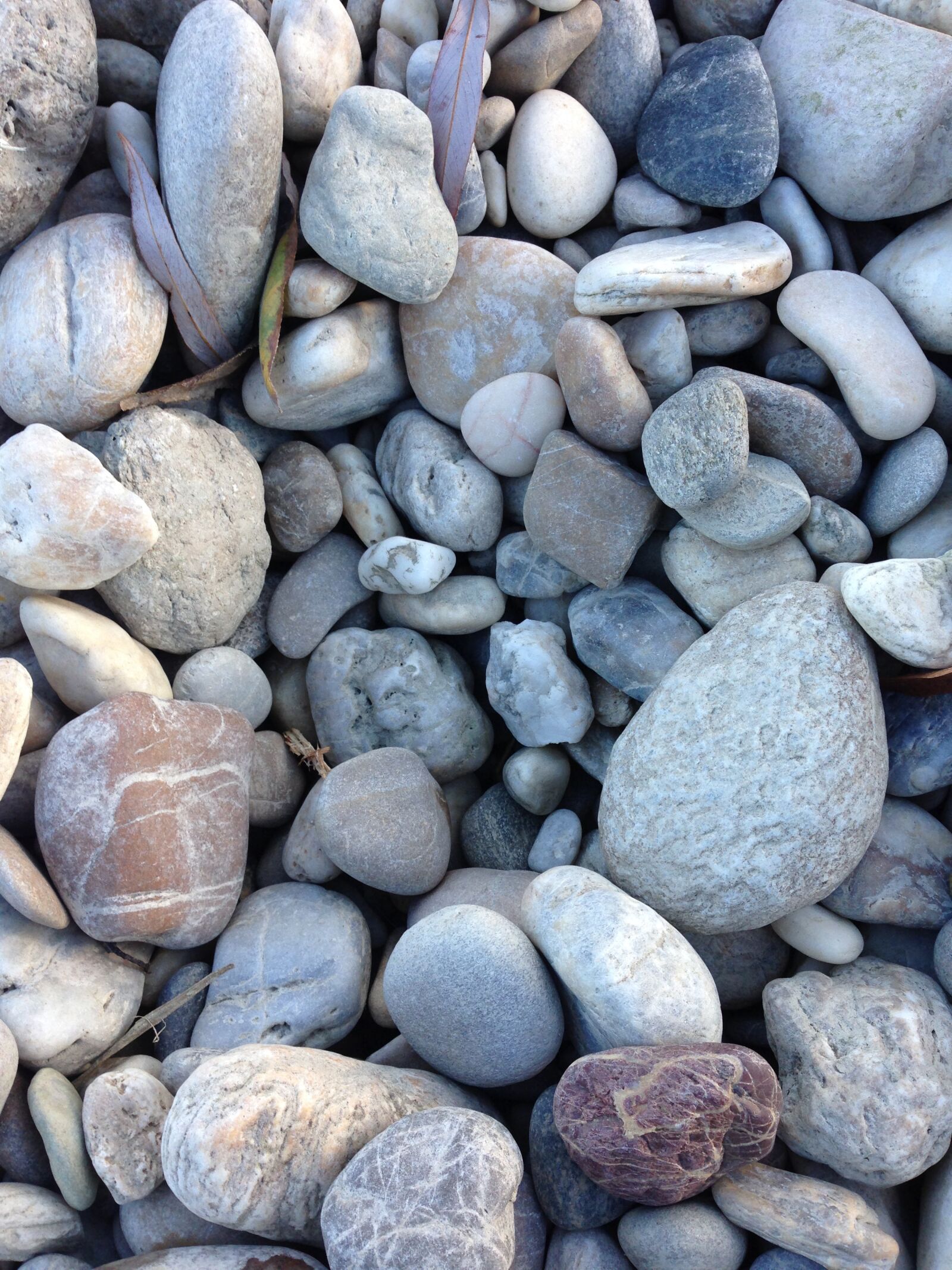 iPhone 5 back camera 4.12mm f/2.4 sample photo. Stones, nature, stone photography