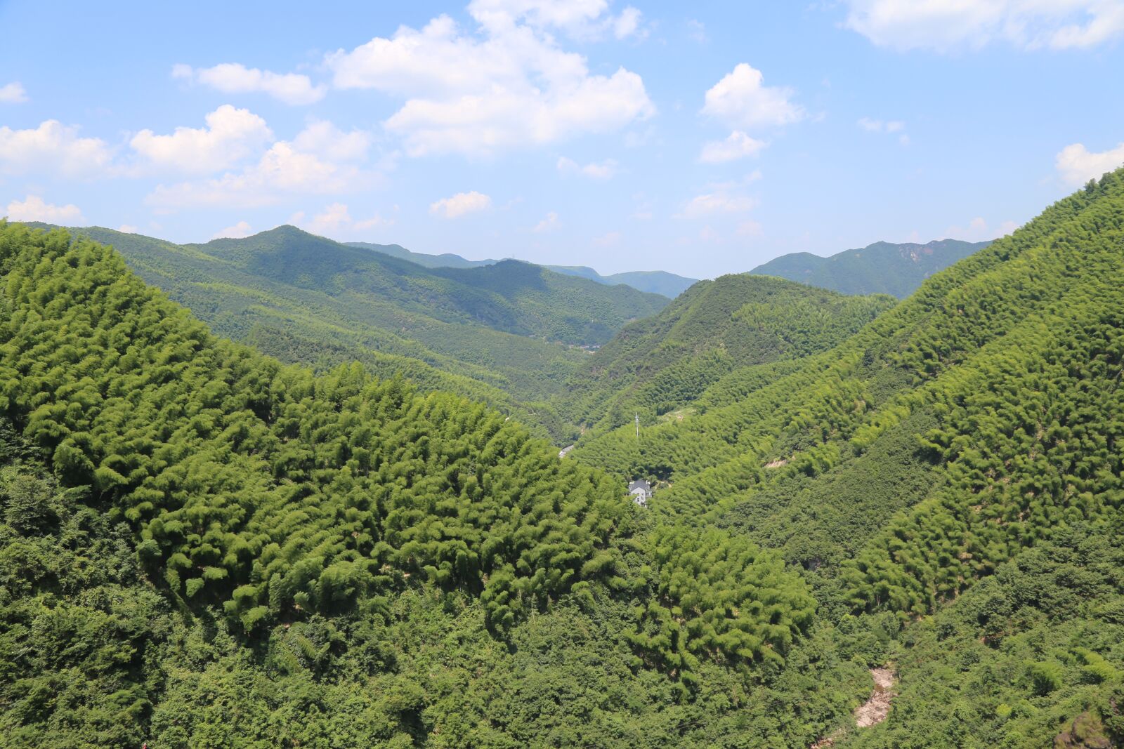 Canon EOS 6D + Canon EF 24-105mm F4L IS USM sample photo. The scenery, building, dragon photography