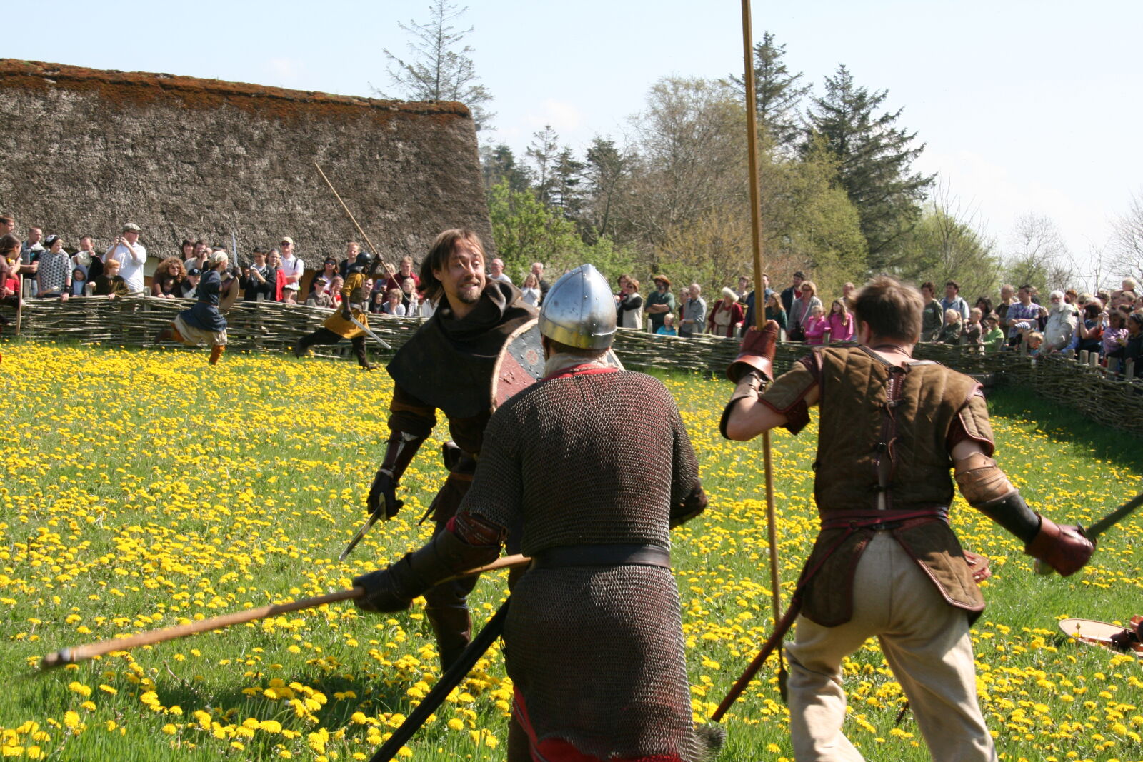 Sigma 18-200mm f/3.5-6.3 DC OS sample photo. Vikings photography