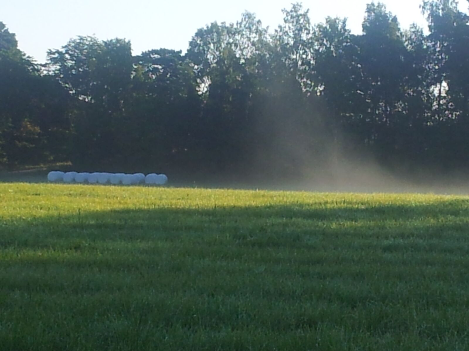 Samsung Galaxy S2 sample photo. Silage, field, green photography