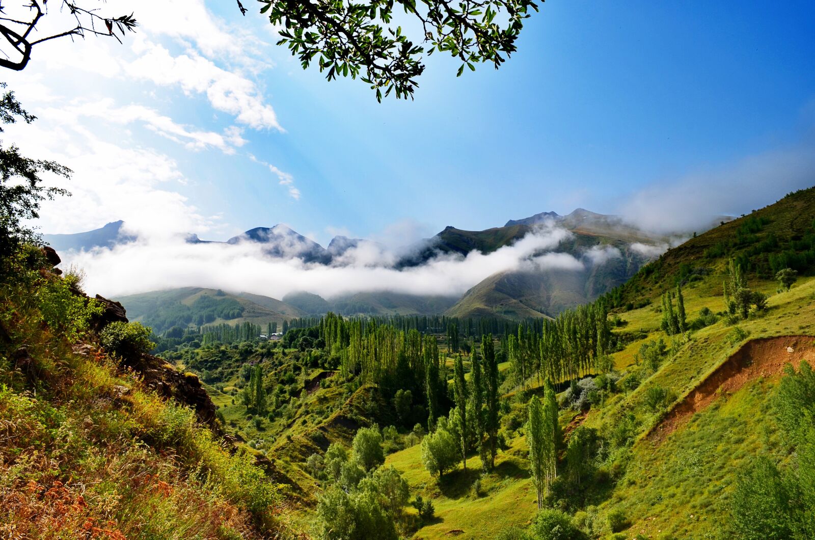 Nikon D5100 sample photo. Nature, landscape, kaçkars photography