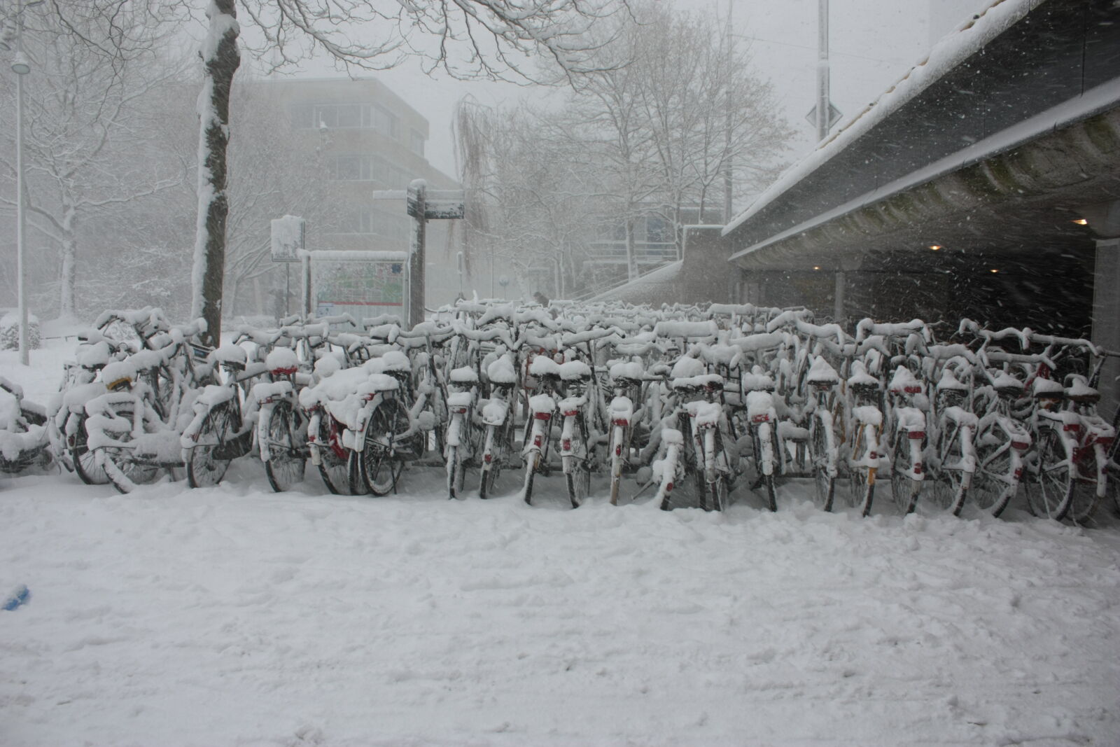 Canon EOS 450D (EOS Rebel XSi / EOS Kiss X2) sample photo. Amsterdam, bicycles, cityscape, netherlands photography