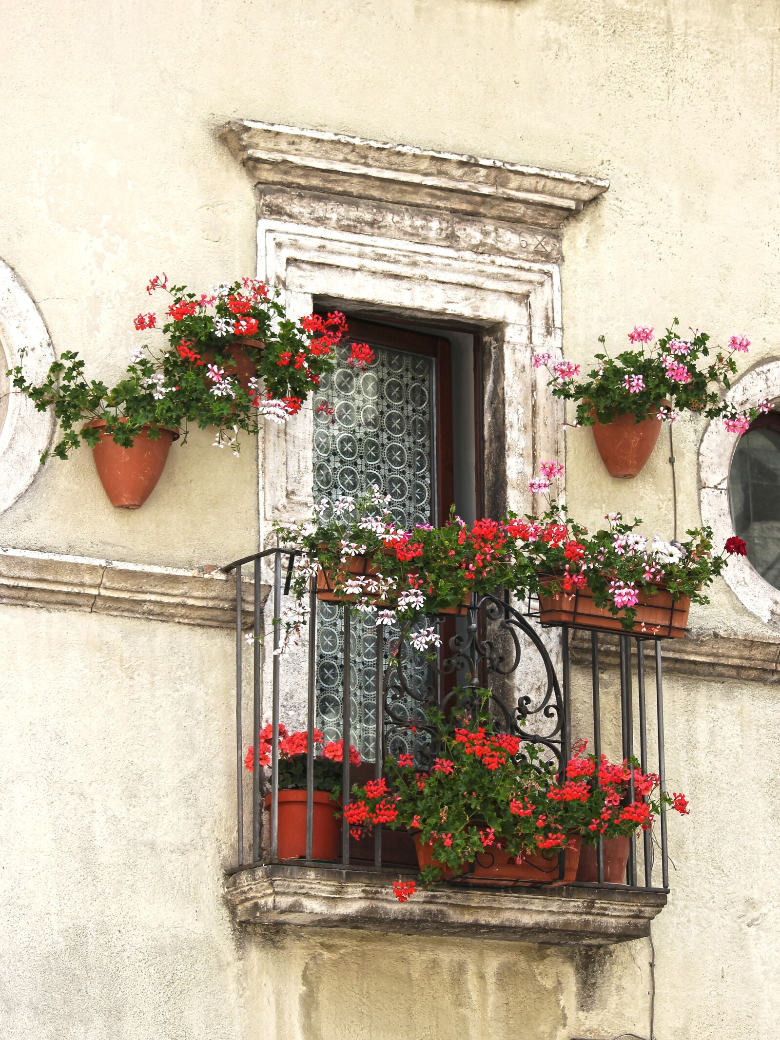 Canon EOS 550D (EOS Rebel T2i / EOS Kiss X4) sample photo. Balcony, flowers, gerani photography