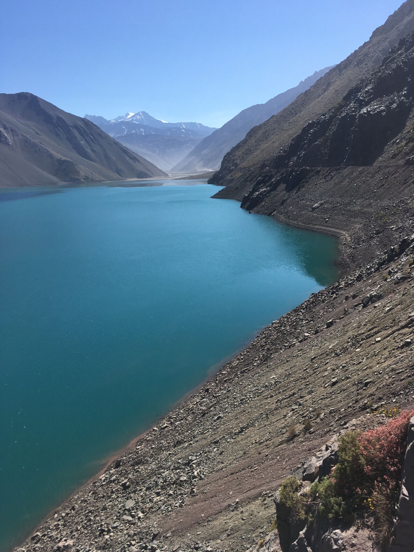 iPhone SE back camera 4.15mm f/2.2 sample photo. Chile, nature, natureza photography