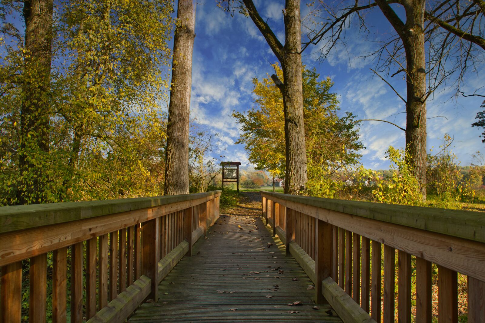 Canon EOS 600D (Rebel EOS T3i / EOS Kiss X5) sample photo. Autumn, bridge, landscape photography