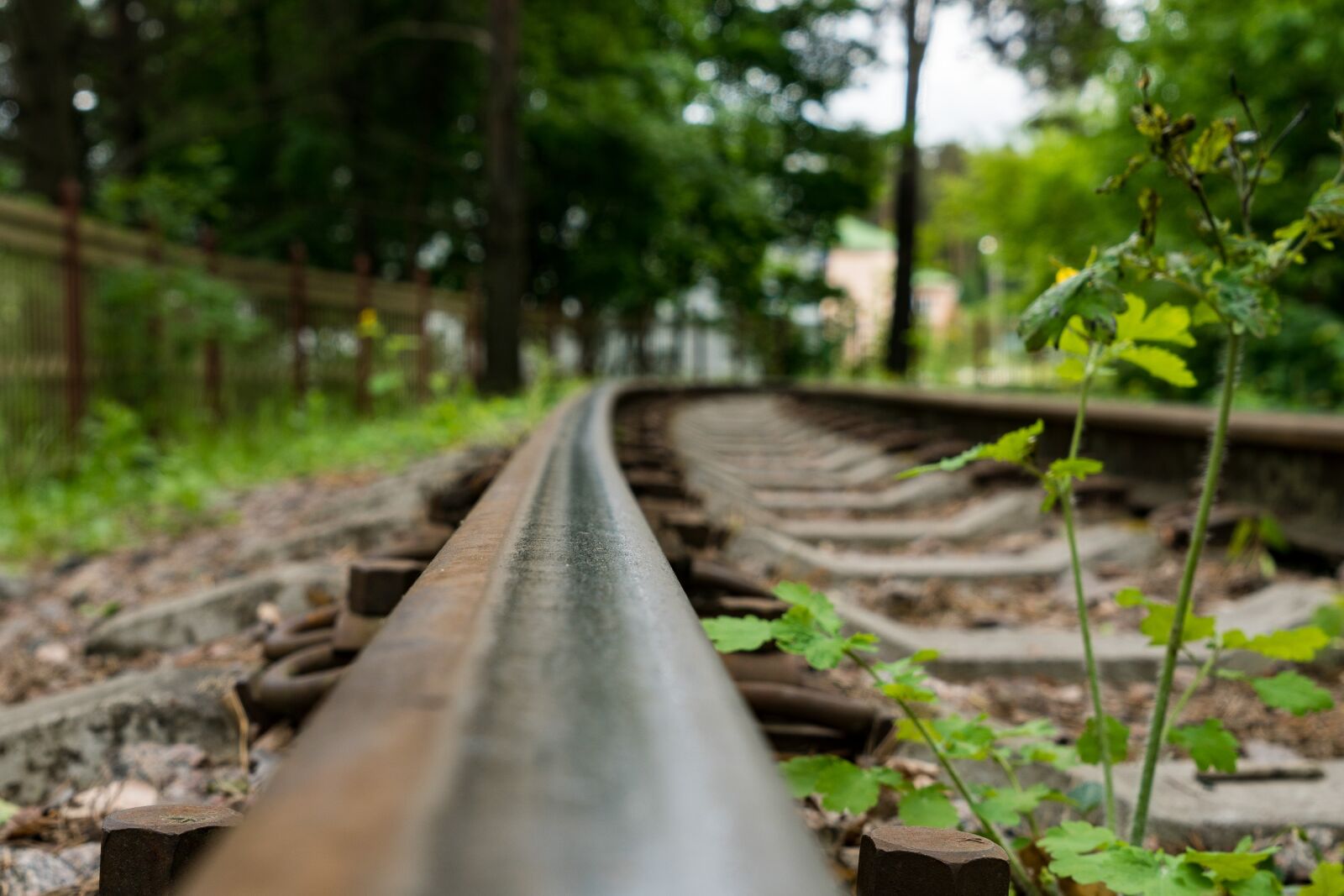 Sony a6300 sample photo. Narrow gauge railroad, rails photography