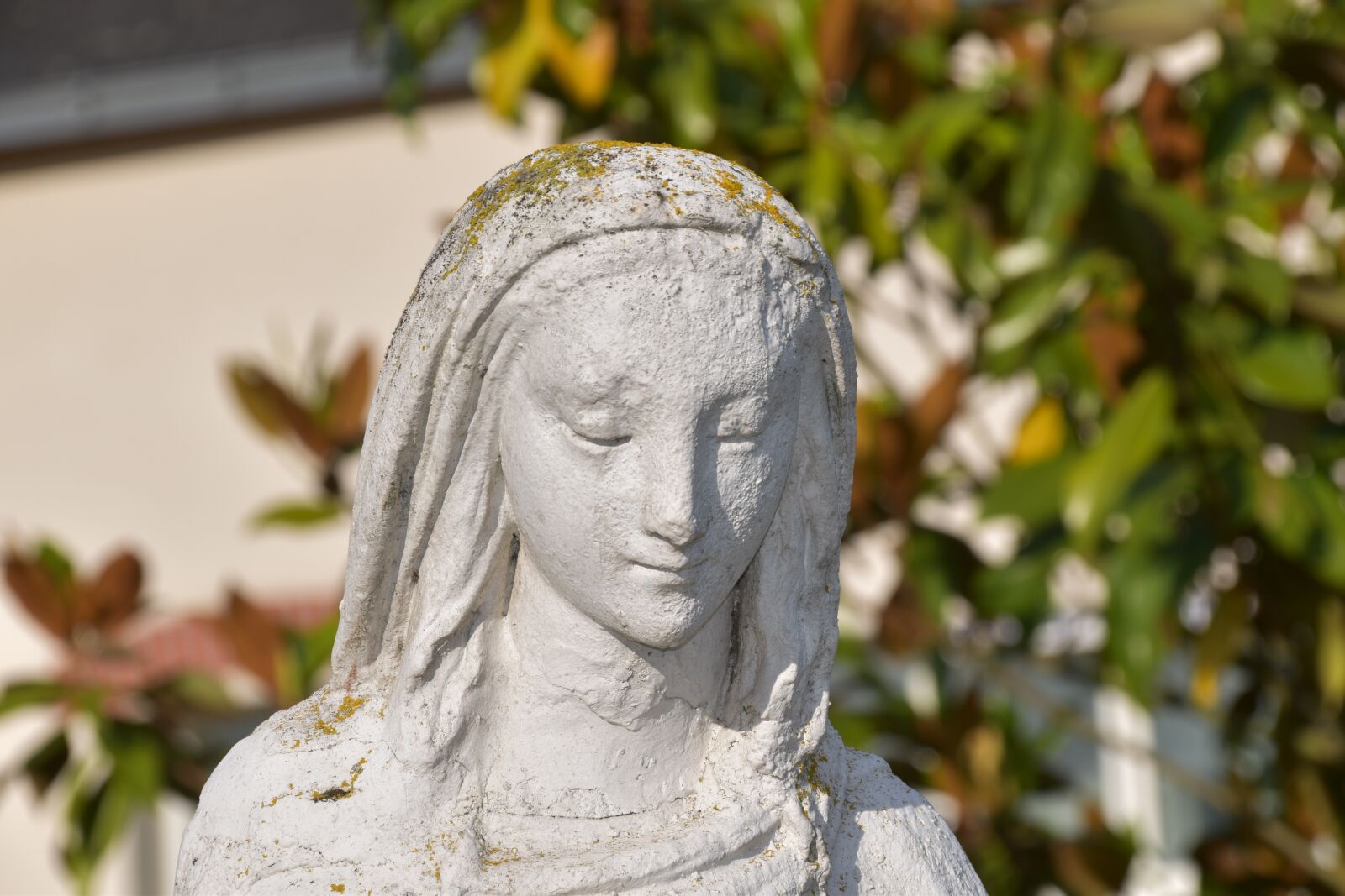 Nikon D5600 sample photo. Sculpture, our lady, petit-mars photography