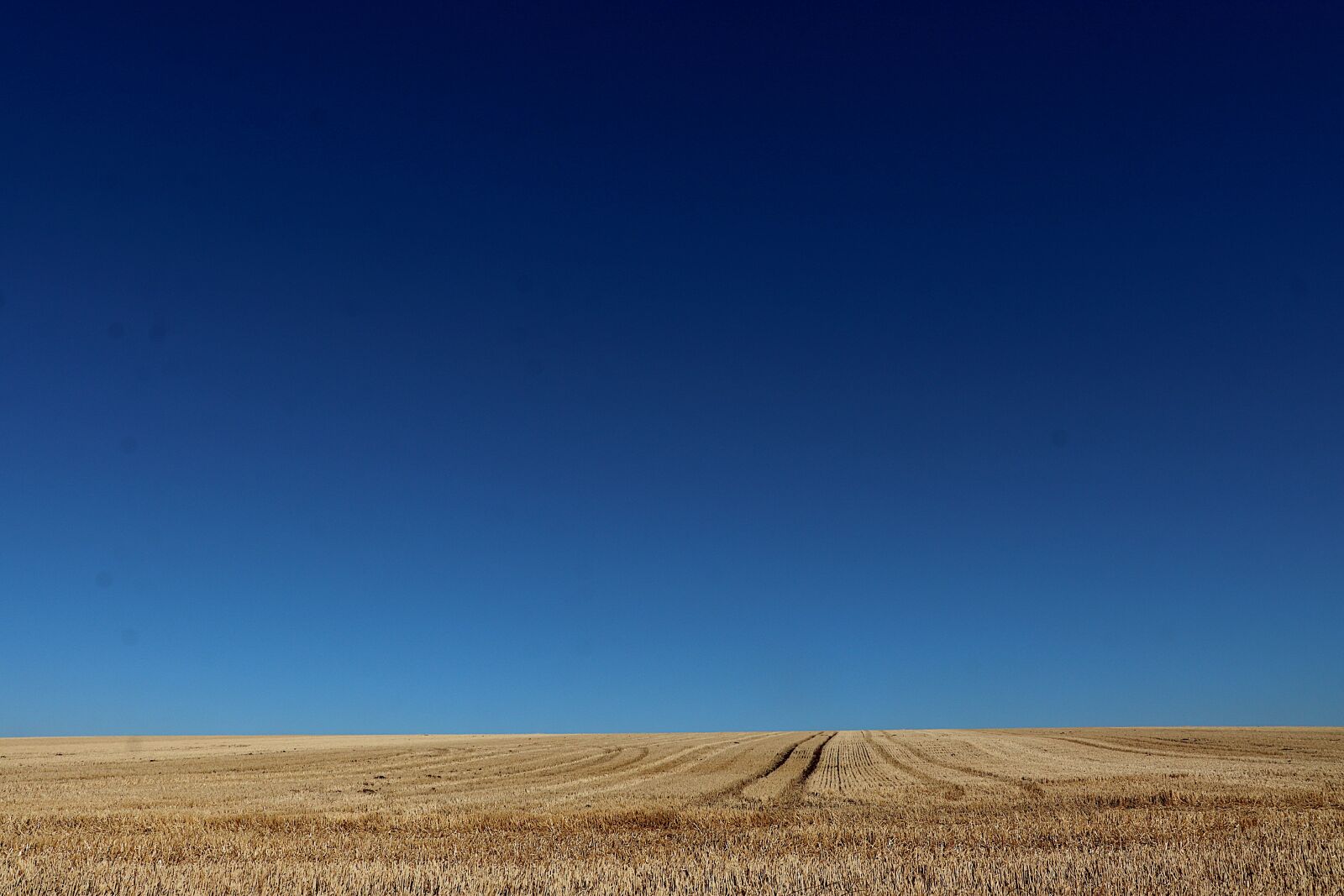 Canon EOS 800D (EOS Rebel T7i / EOS Kiss X9i) + Canon EF-S 18-55mm F4-5.6 IS STM sample photo. Fields, wheat, harvest photography