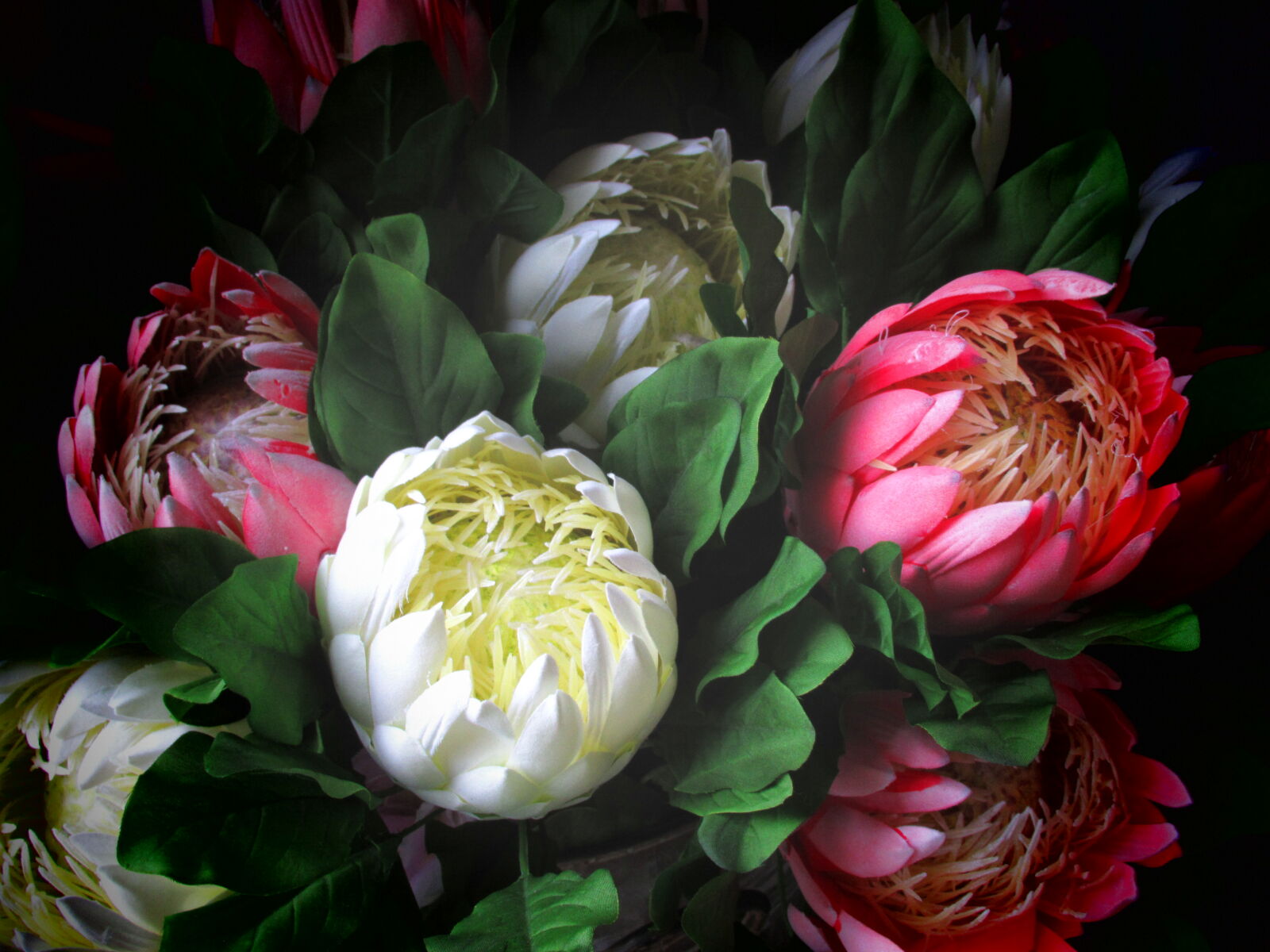 Canon PowerShot SX620 HS sample photo. Background, decor, fake, flowers photography