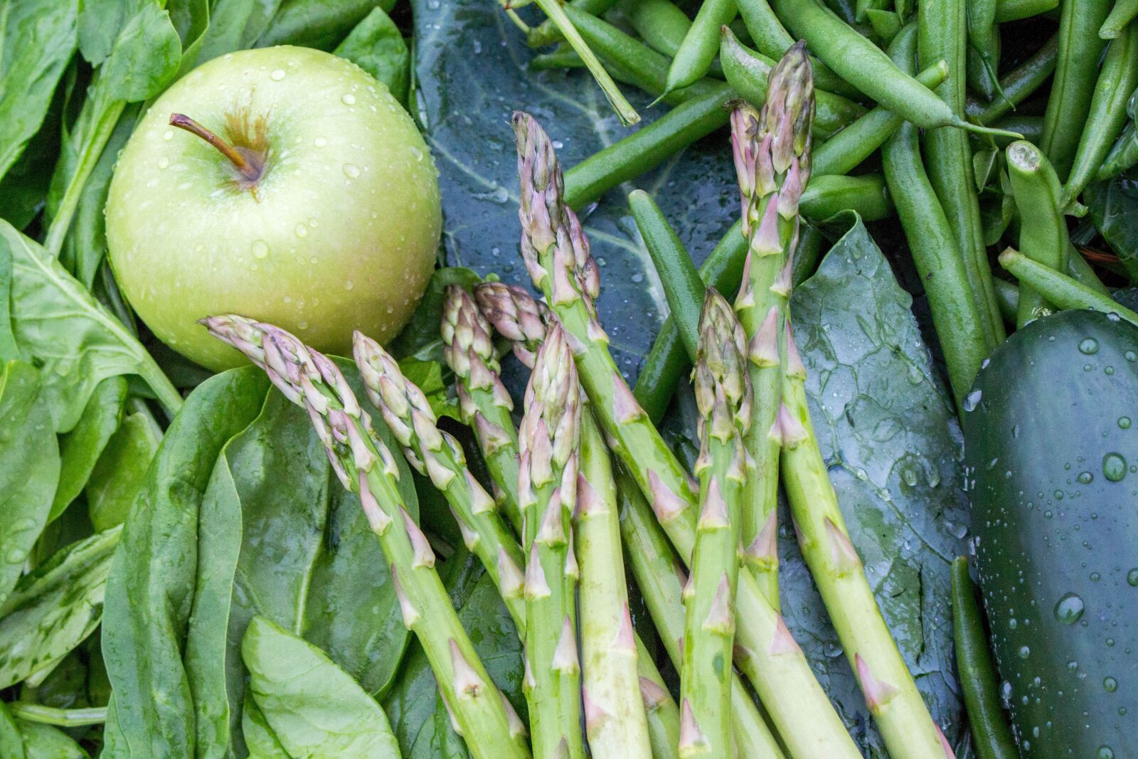 Canon EOS 700D (EOS Rebel T5i / EOS Kiss X7i) sample photo. Food, healthy, vegetable photography