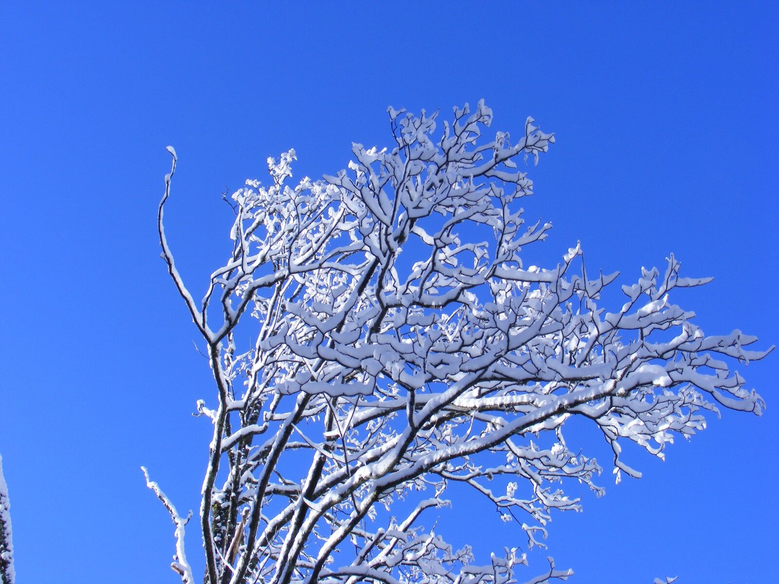 Fujifilm FinePix S5800 S800 sample photo. Winter, tatry, poland photography