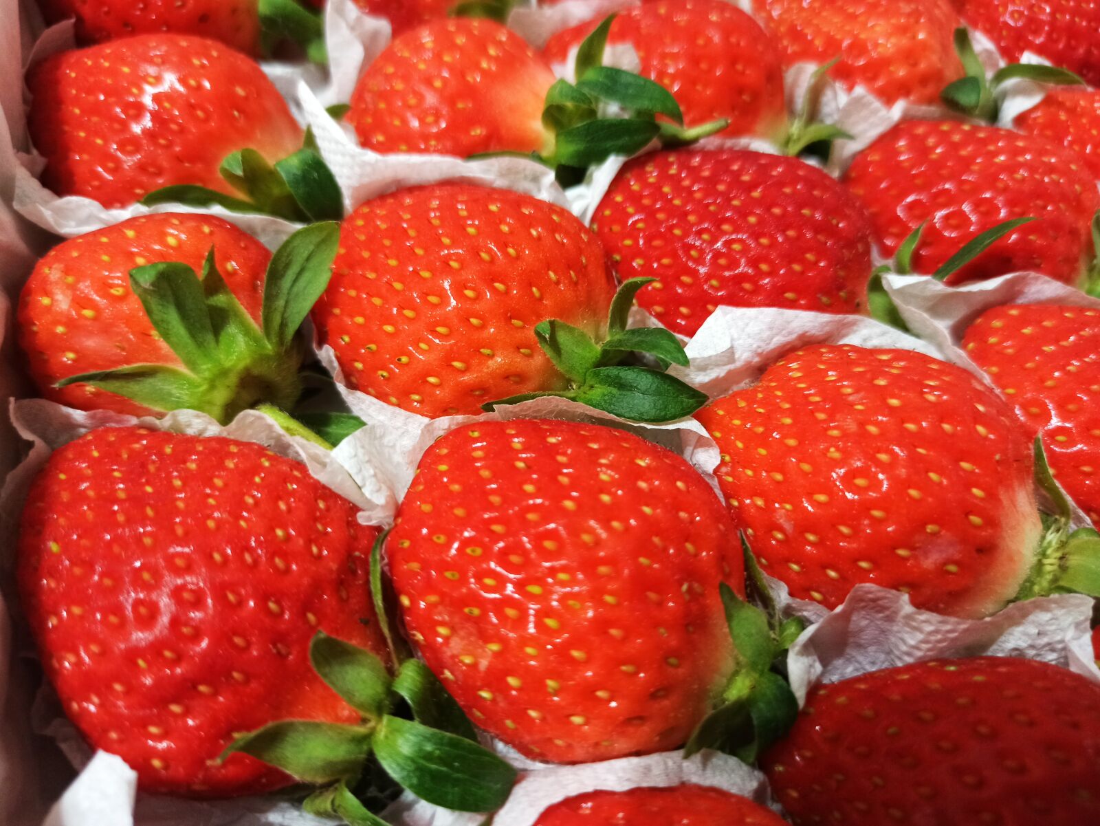 Xiaomi Redmi Note 8 Pro sample photo. Strawberries, natural, beautiful picture photography