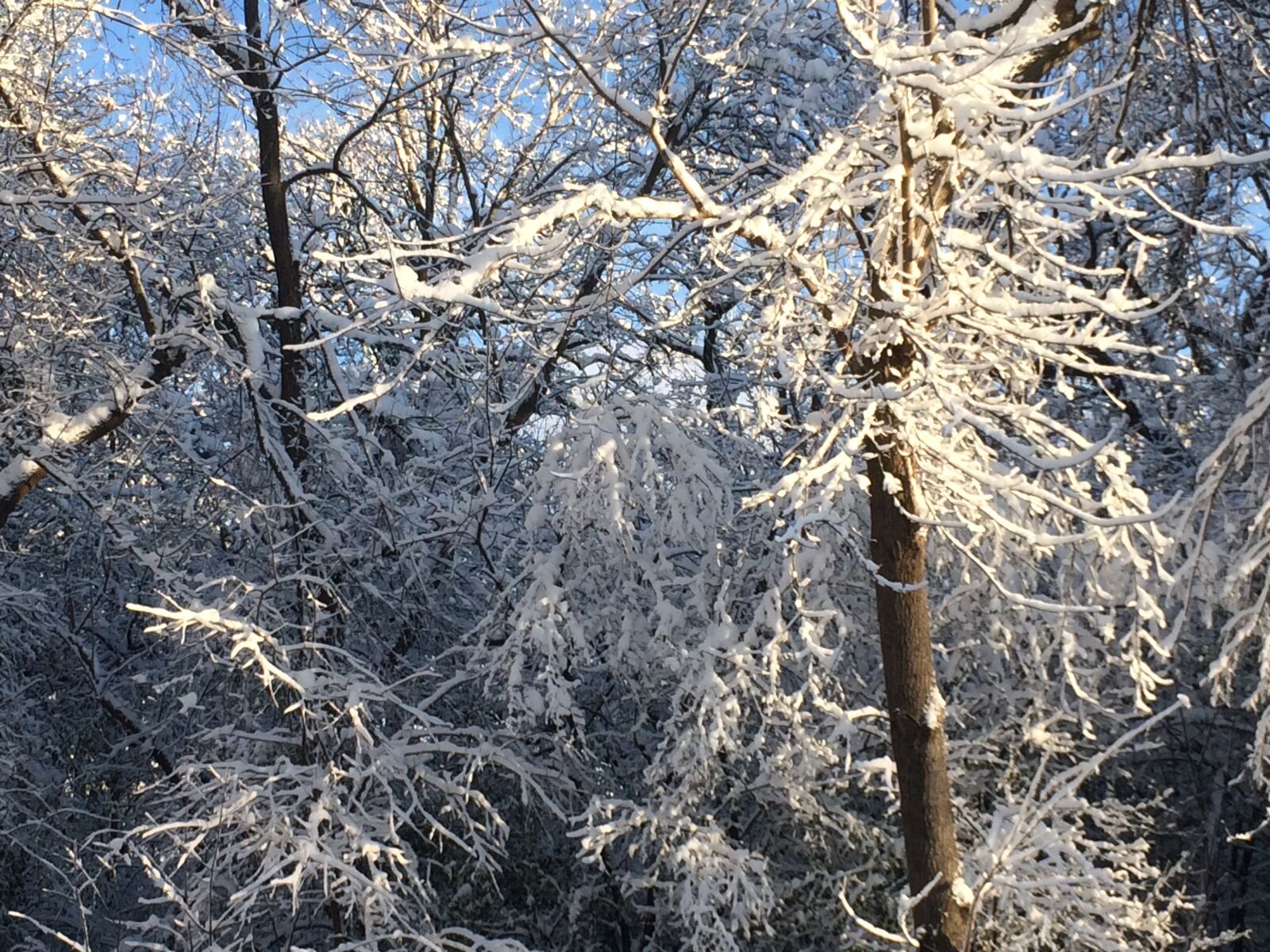 iPhone 5s back camera 4.15mm f/2.2 sample photo. Winter photography