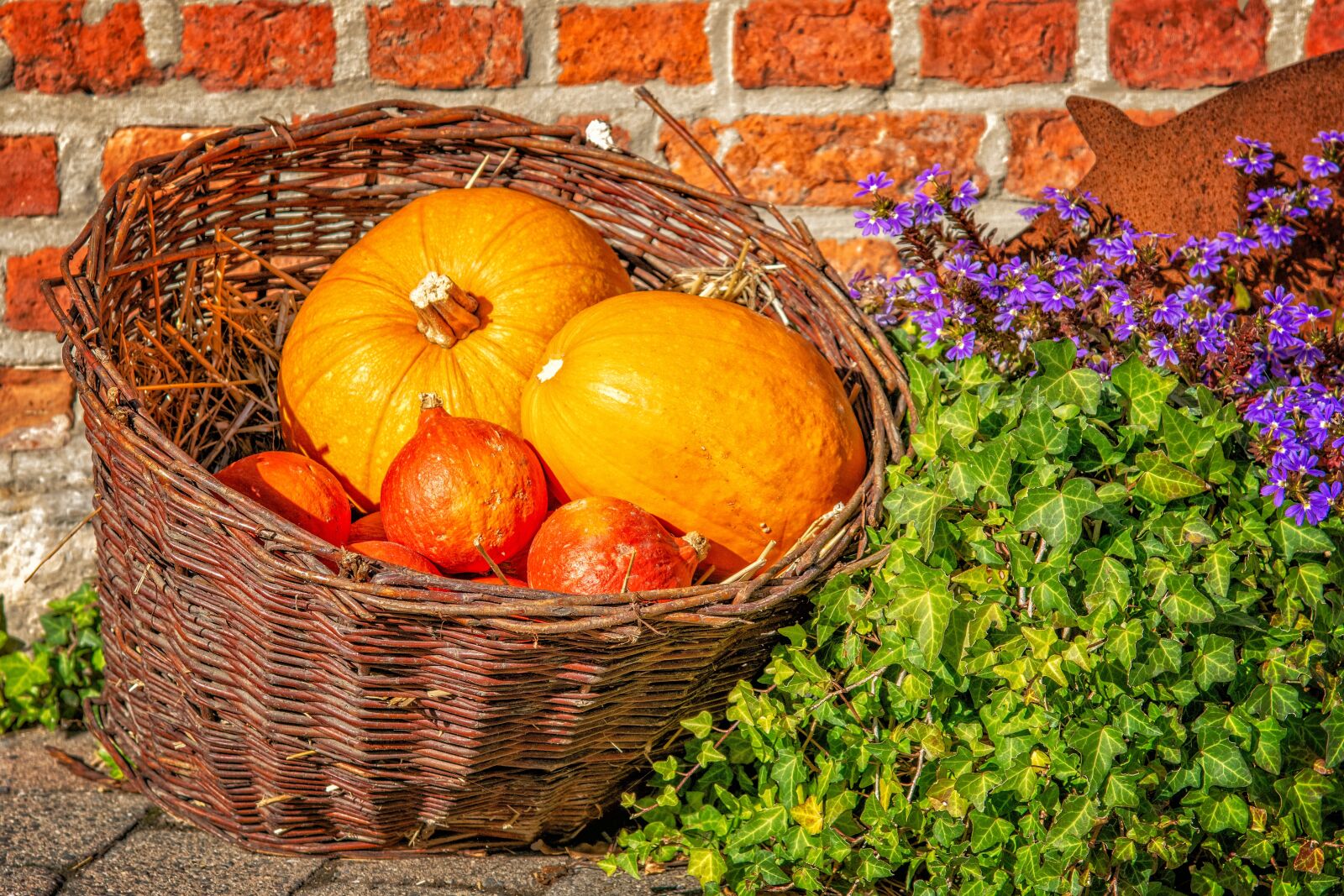 Nikon D3300 sample photo. Pumpkin, autumn, basket photography