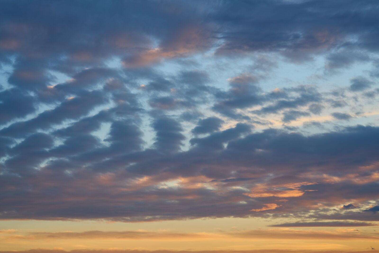 Sigma 85mm F1.4 DG HSM Art sample photo. Sky, clouds, nature photography