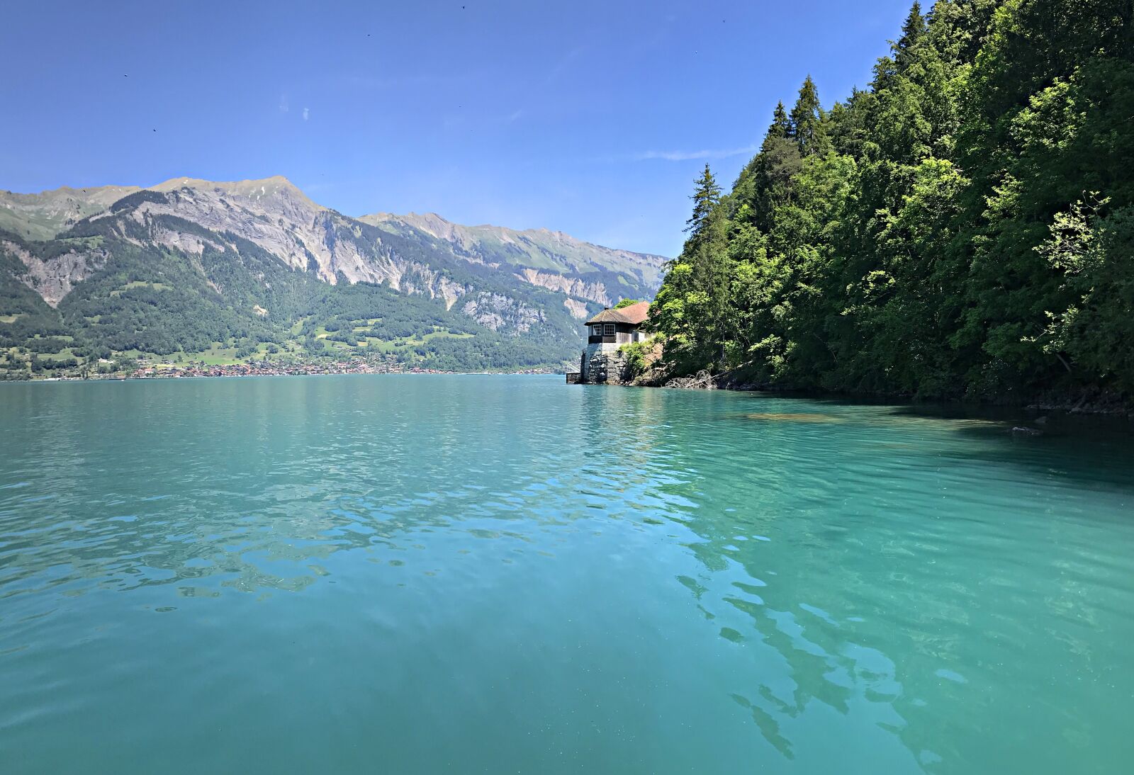 Apple iPhone 7 sample photo. Lake brienz, iseltwald, b photography