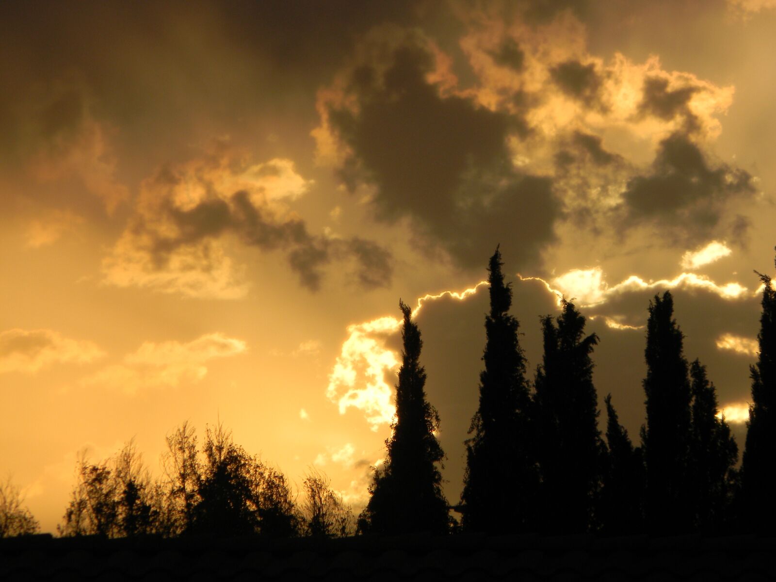 Nikon Coolpix L110 sample photo. Sunset, trees, dusk photography