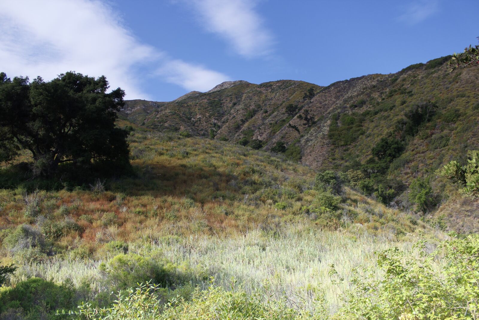 Canon EOS 600D (Rebel EOS T3i / EOS Kiss X5) sample photo. Big sur, valley, california photography