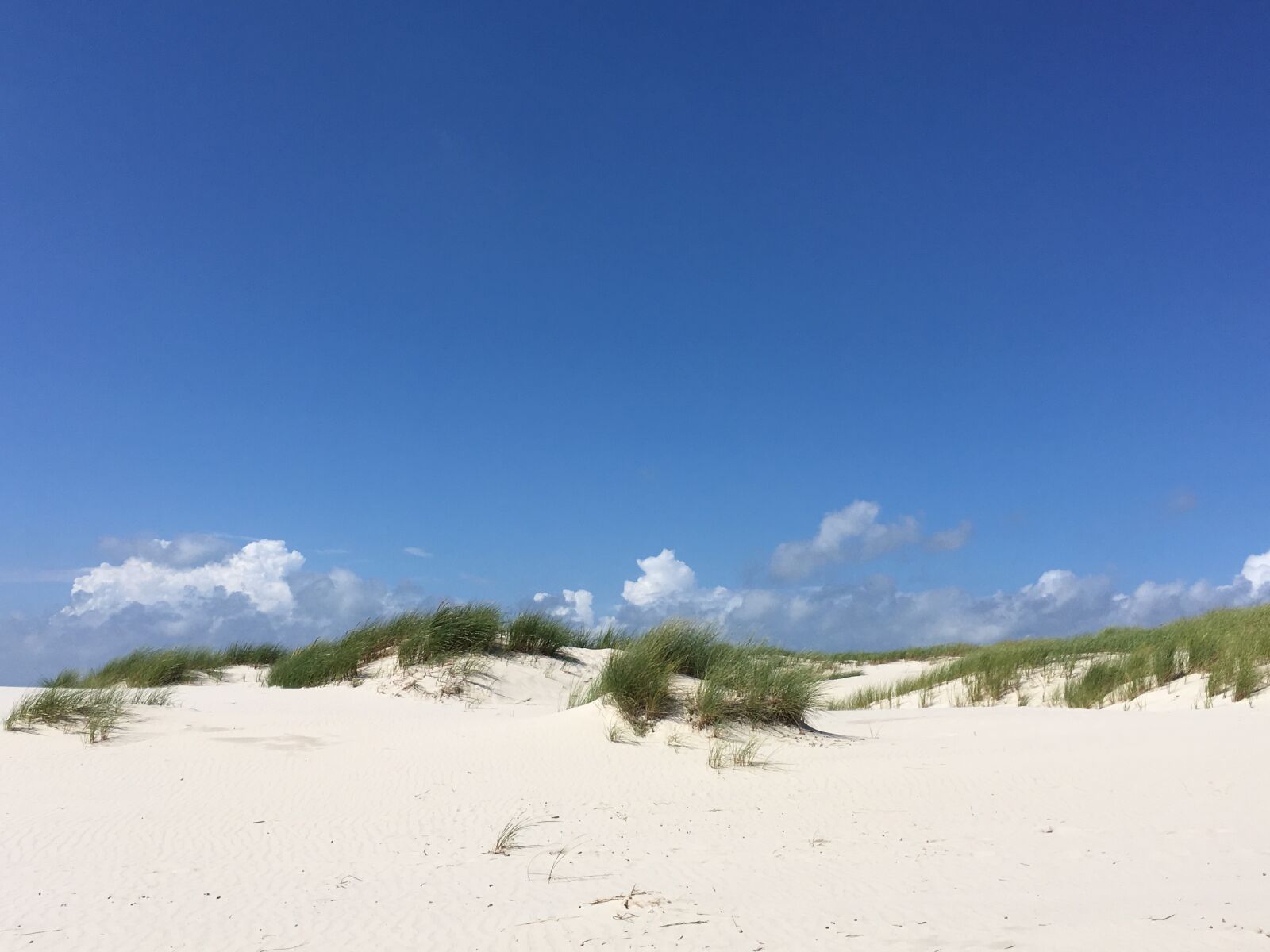 iPhone SE back camera 4.15mm f/2.2 sample photo. Blue, sky, beach photography