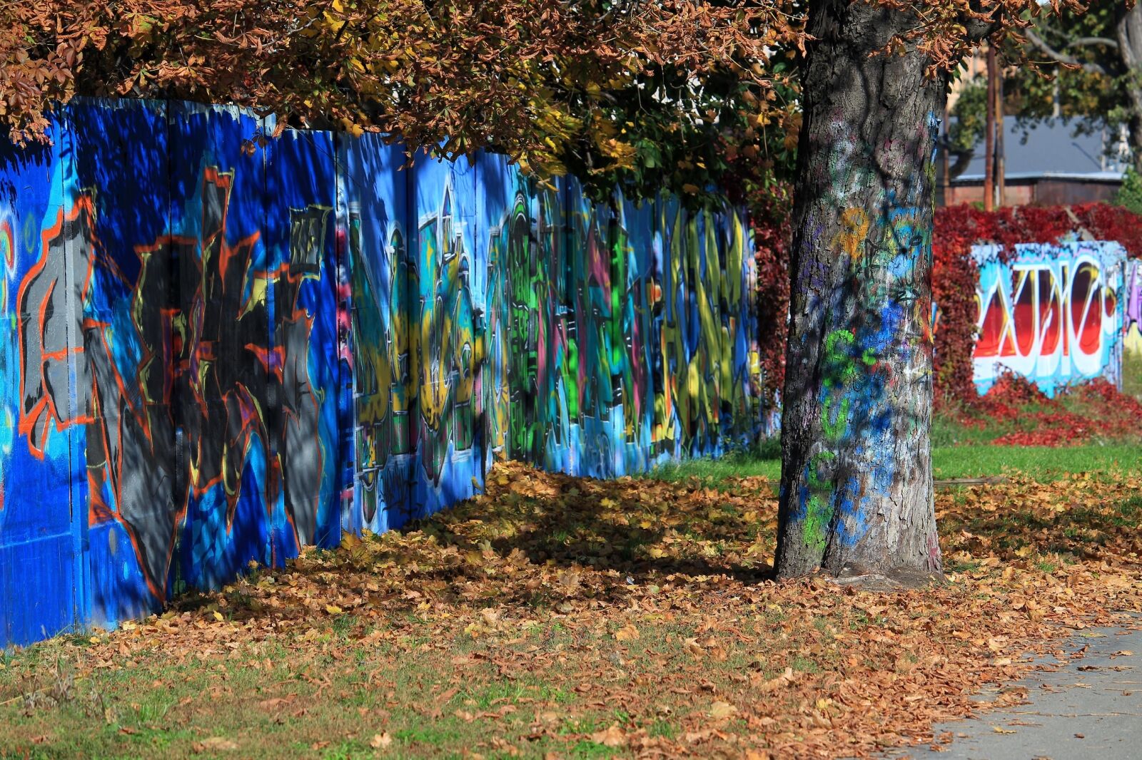 Canon EF-S 55-250mm F4-5.6 IS STM sample photo. Graffiti, street art, colors photography