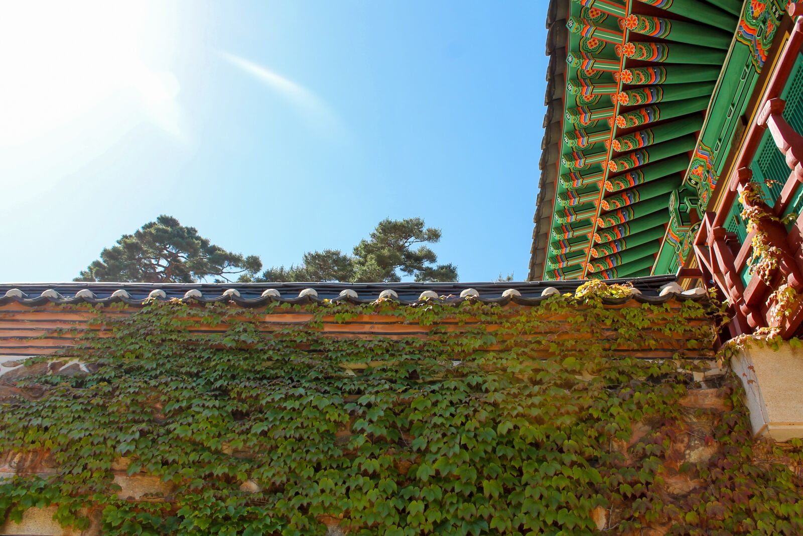 Canon EOS 1100D (EOS Rebel T3 / EOS Kiss X50) sample photo. Castle, korean, traditional photography
