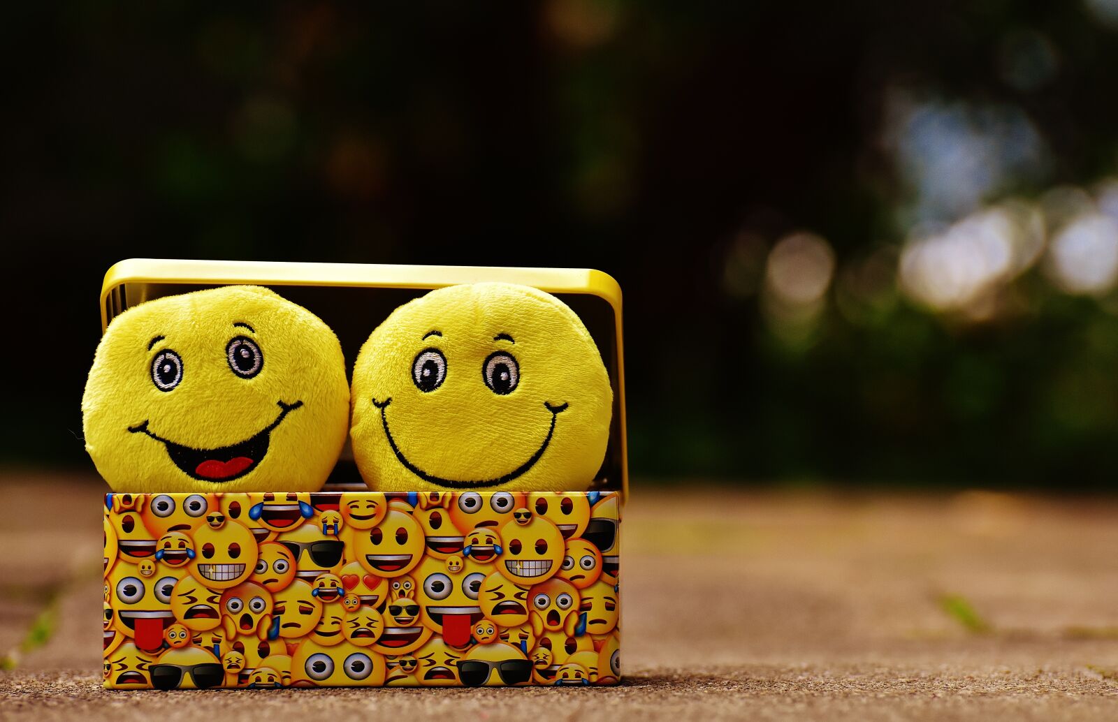 Nikon D7200 sample photo. Smilies, yellow, funny photography