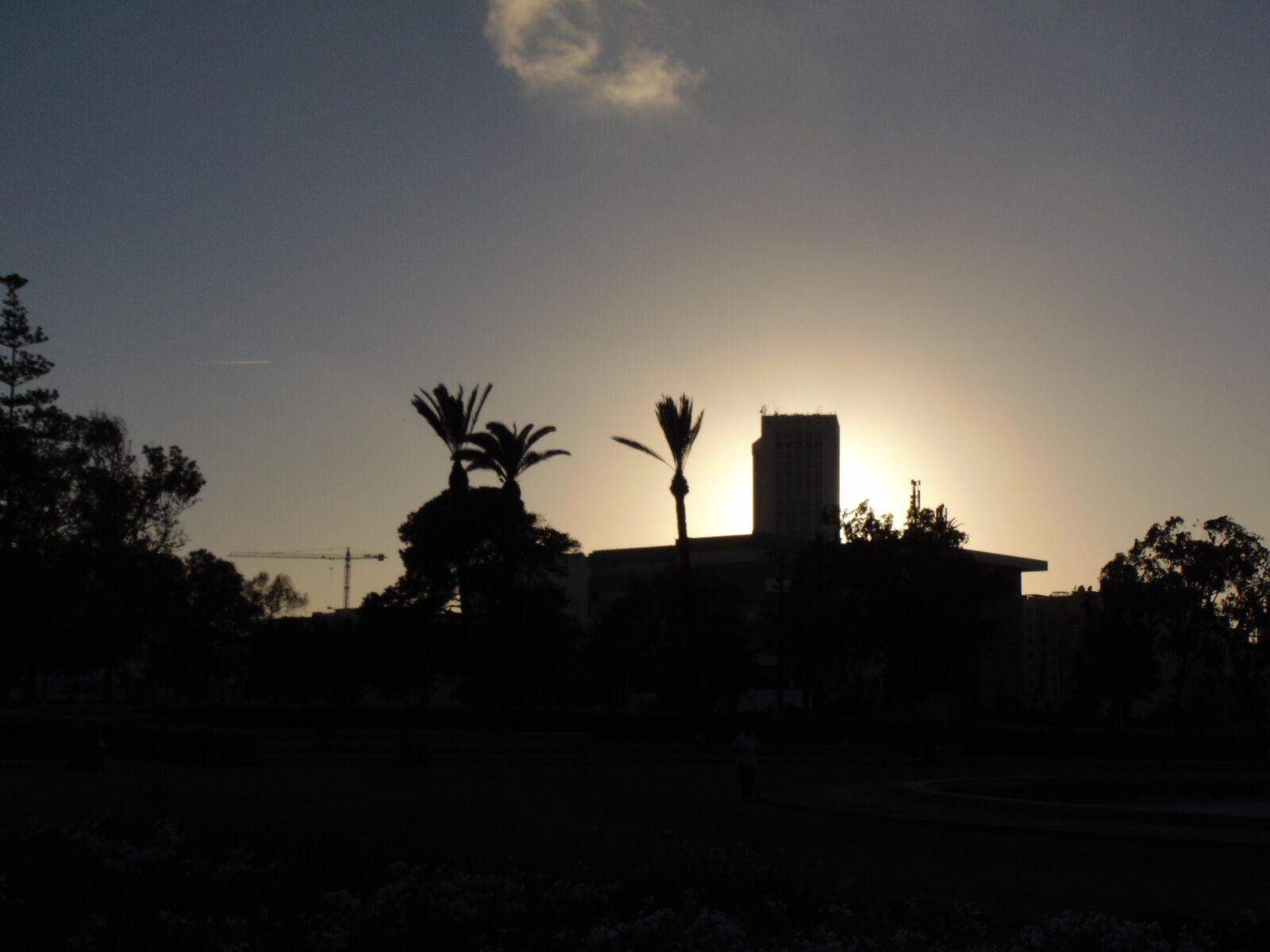 Sony Cyber-shot DSC-H300 sample photo