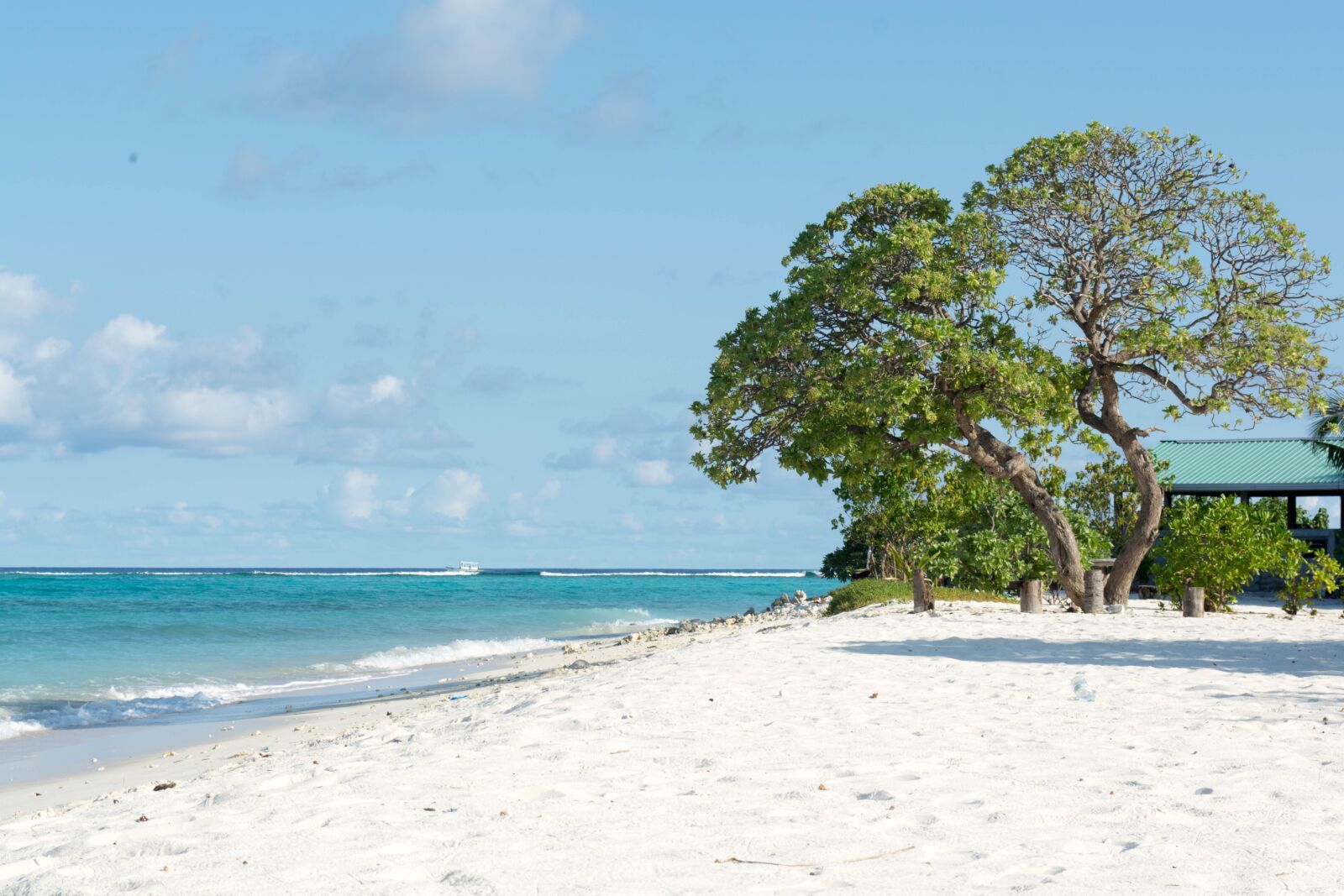 Nikon D5200 sample photo. Beach, dharavandhoo, baa photography
