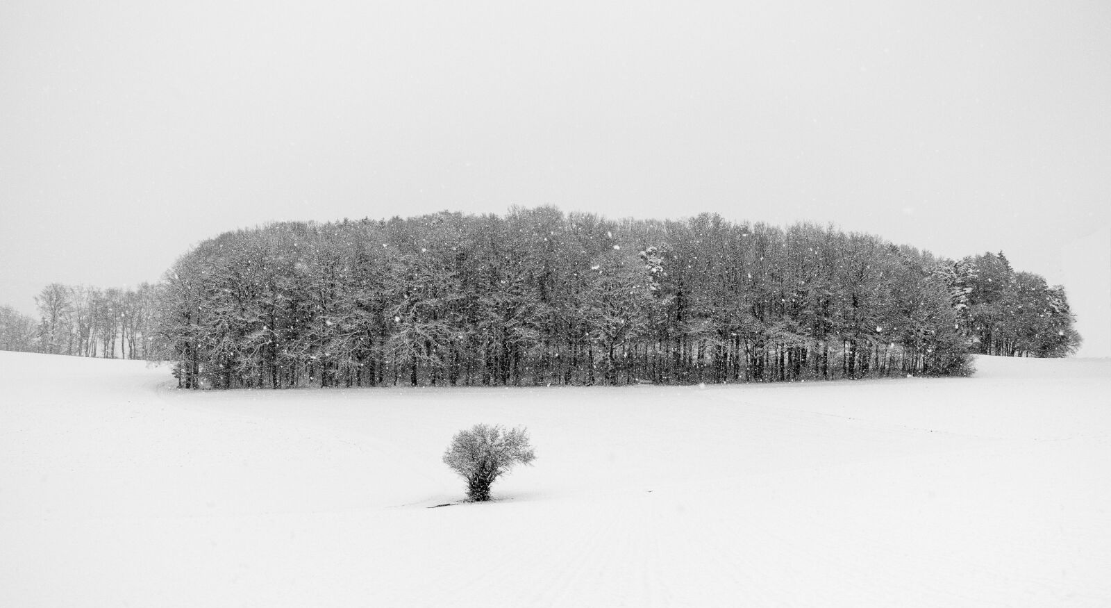 Sony Cyber-shot DSC-RX100 III sample photo. Snow landscape, snowfall, hill photography