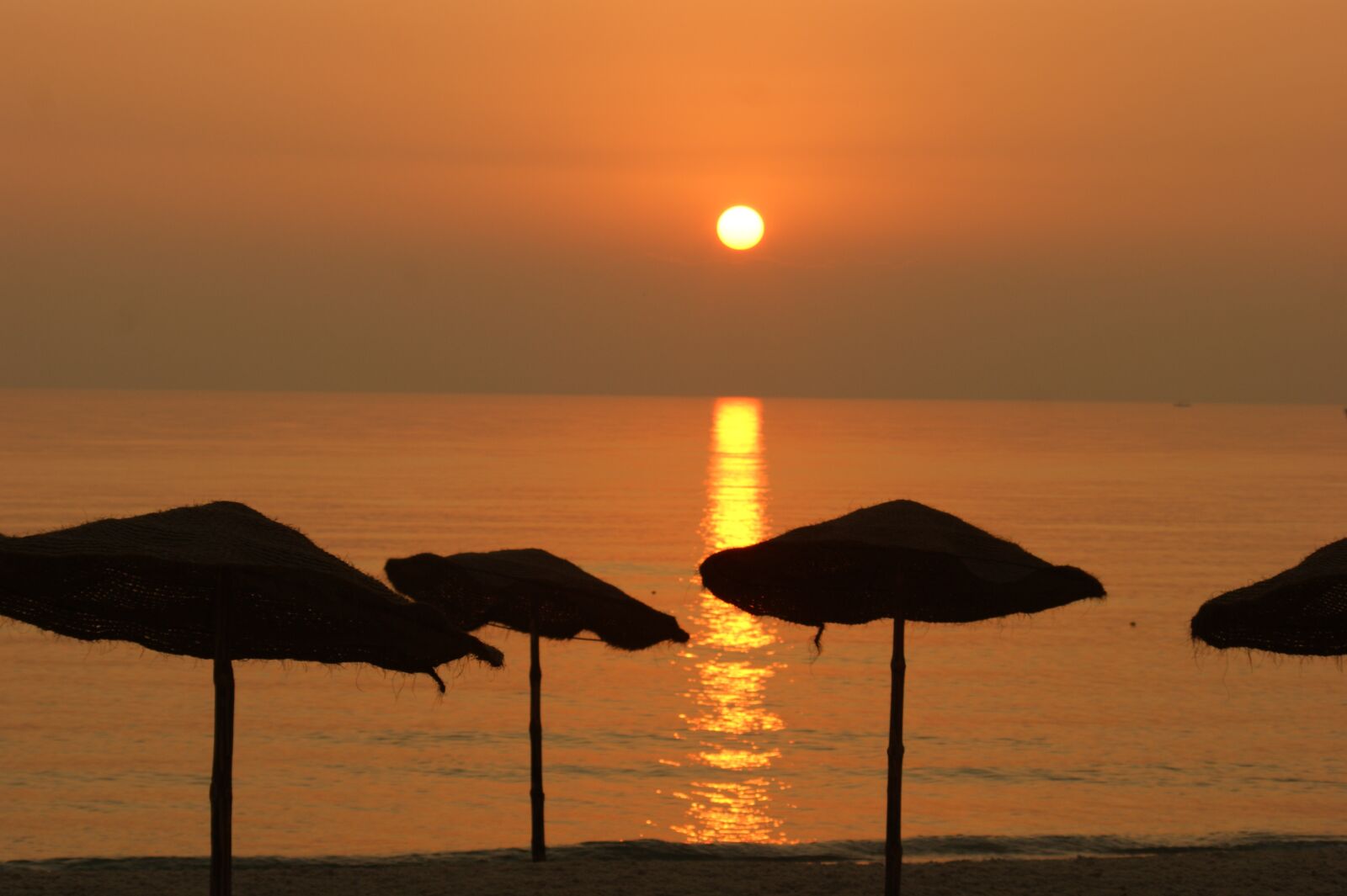 Sony Alpha DSLR-A290 sample photo. Sunrise, sea, sun photography