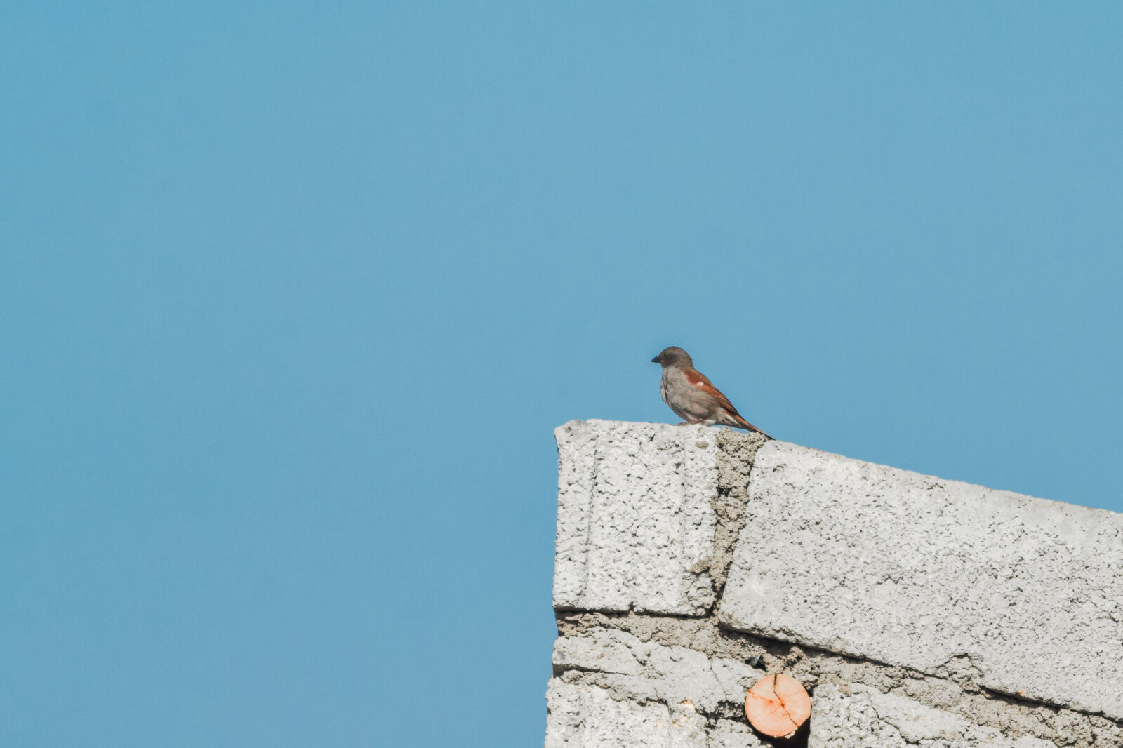 Nikon D3300 sample photo