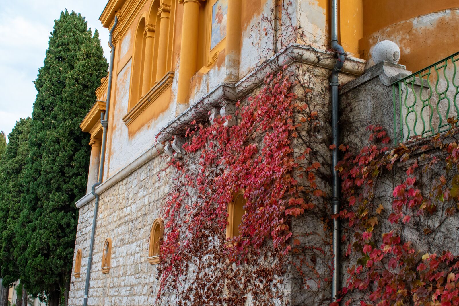 Nikon D5600 sample photo. Building, trees, architecture photography