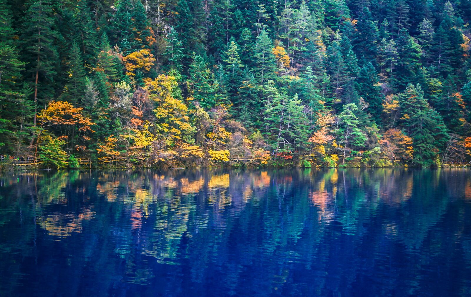 Canon EOS 5D Mark II sample photo. Jiuzhaigou, natural, china photography