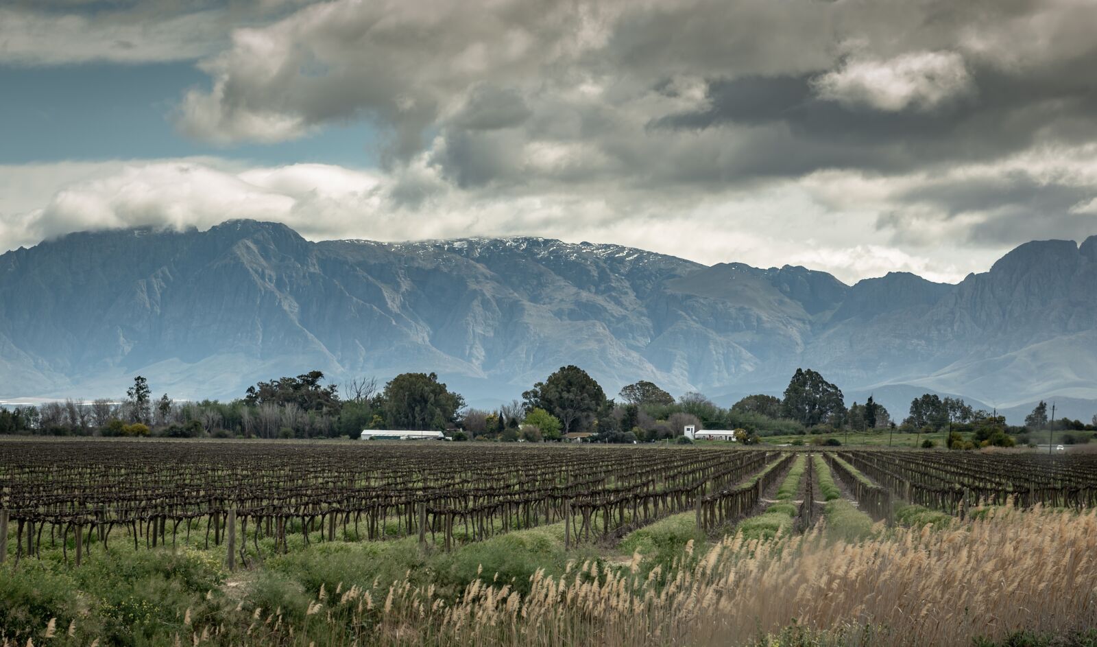 Nikon D750 sample photo. Little karoo, south africa photography