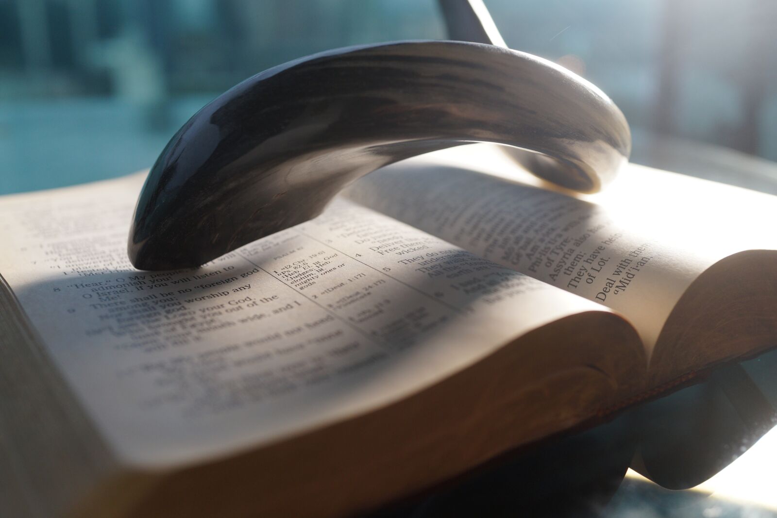 Sony Cyber-shot DSC-RX1R sample photo. Bible, horn, scripture photography