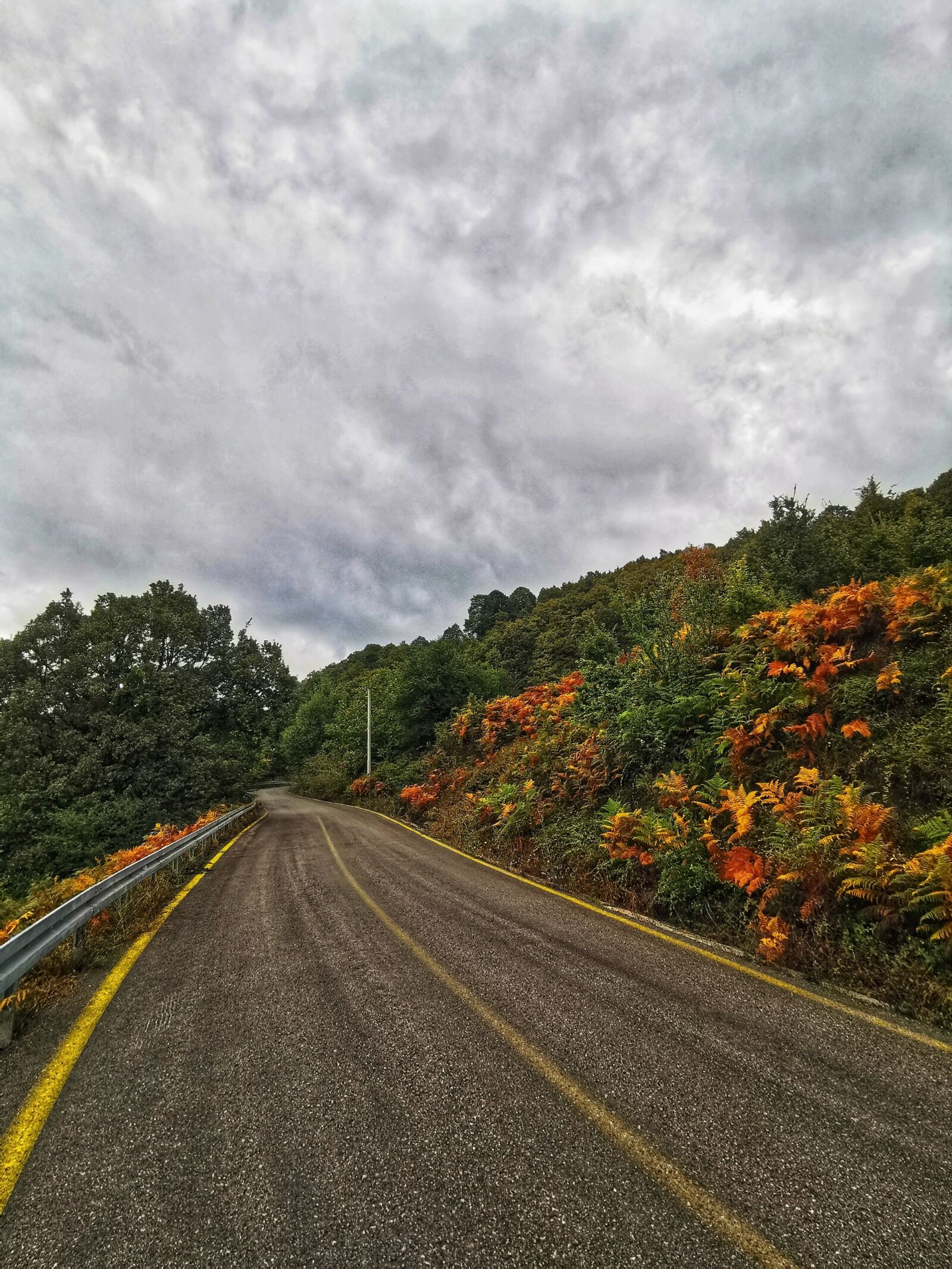 HUAWEI VOG-L29 sample photo. Nature, road, landscape photography