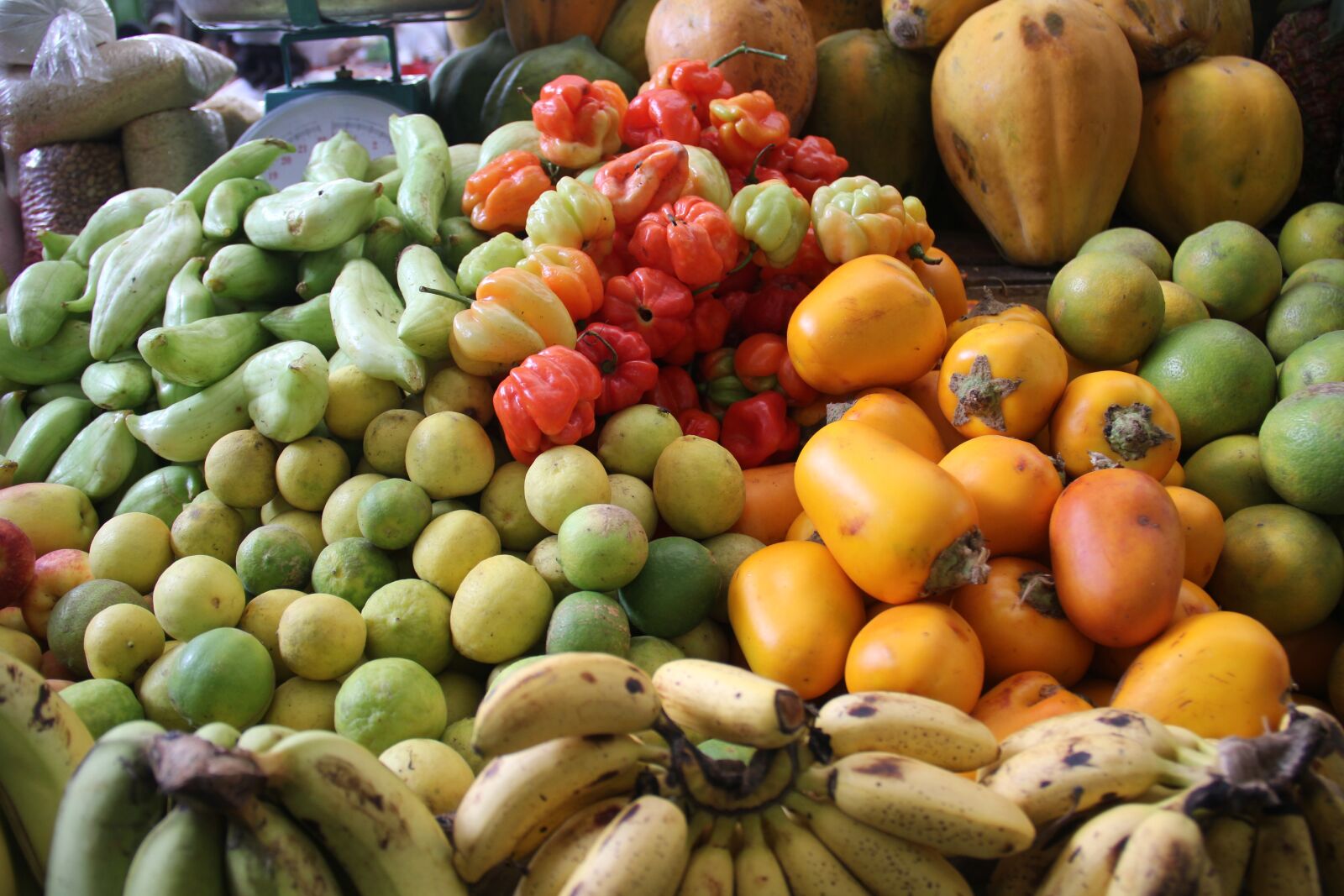 Canon EOS 60D sample photo. Food, amazon, peru photography