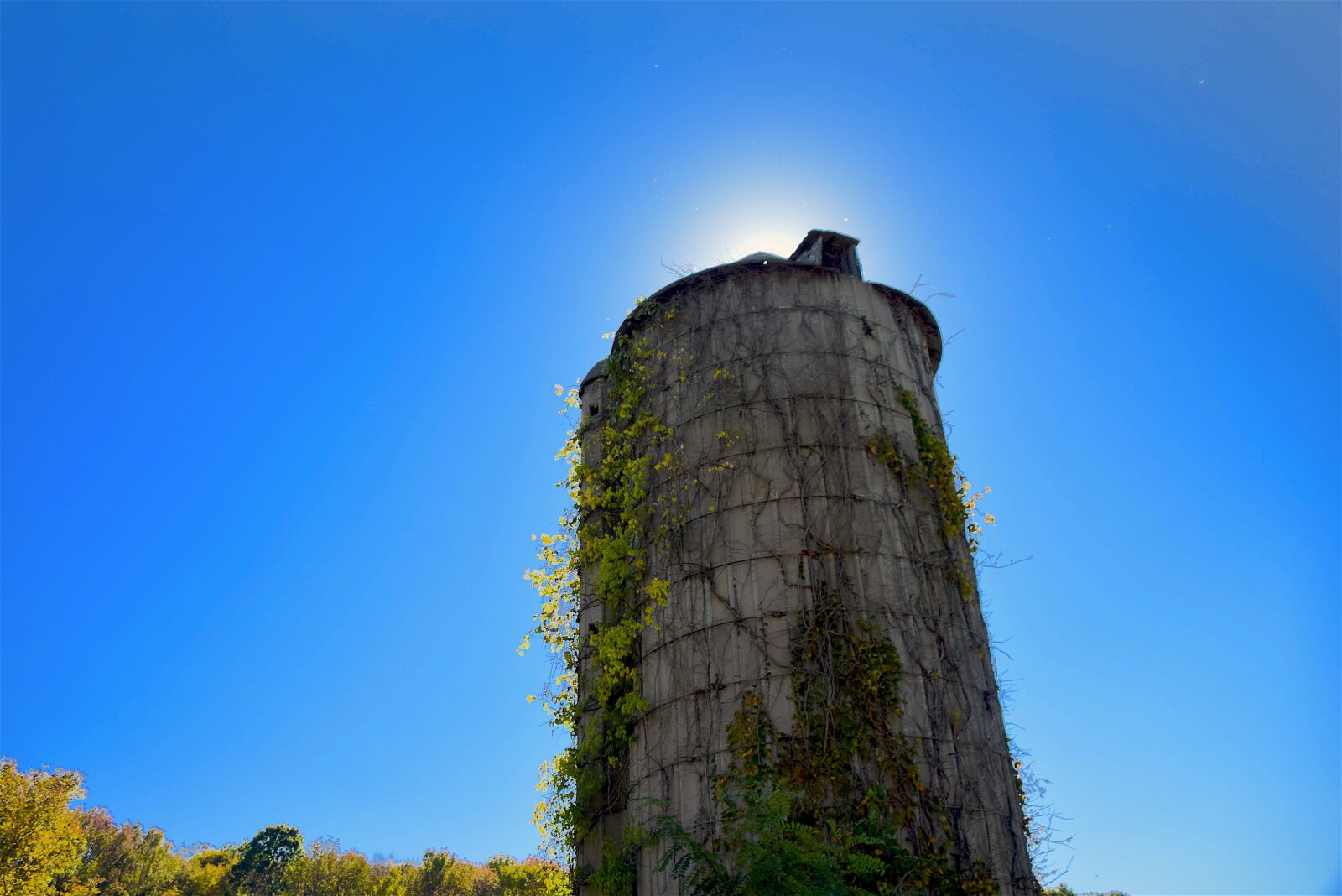 Nikon D3300 sample photo. Silo, old, rural photography