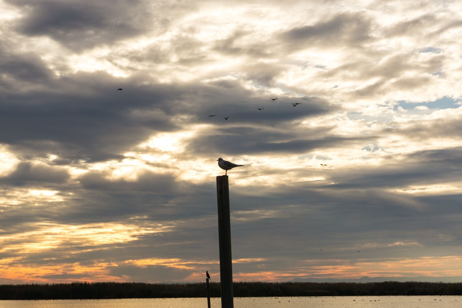Sony a6000 sample photo. Sky, sunset, outdoors photography