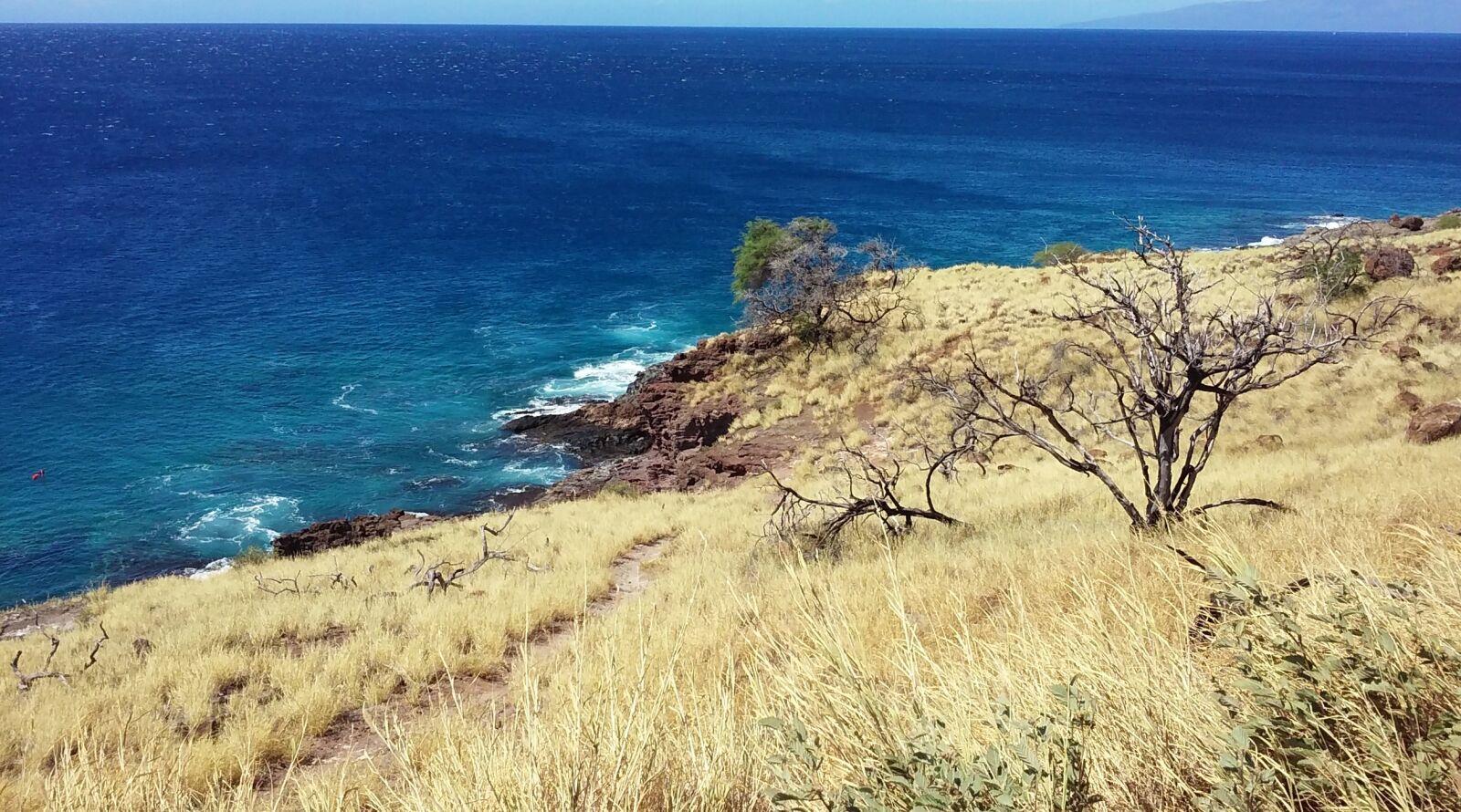 LG POWER sample photo. Maui, hawaii, beach photography