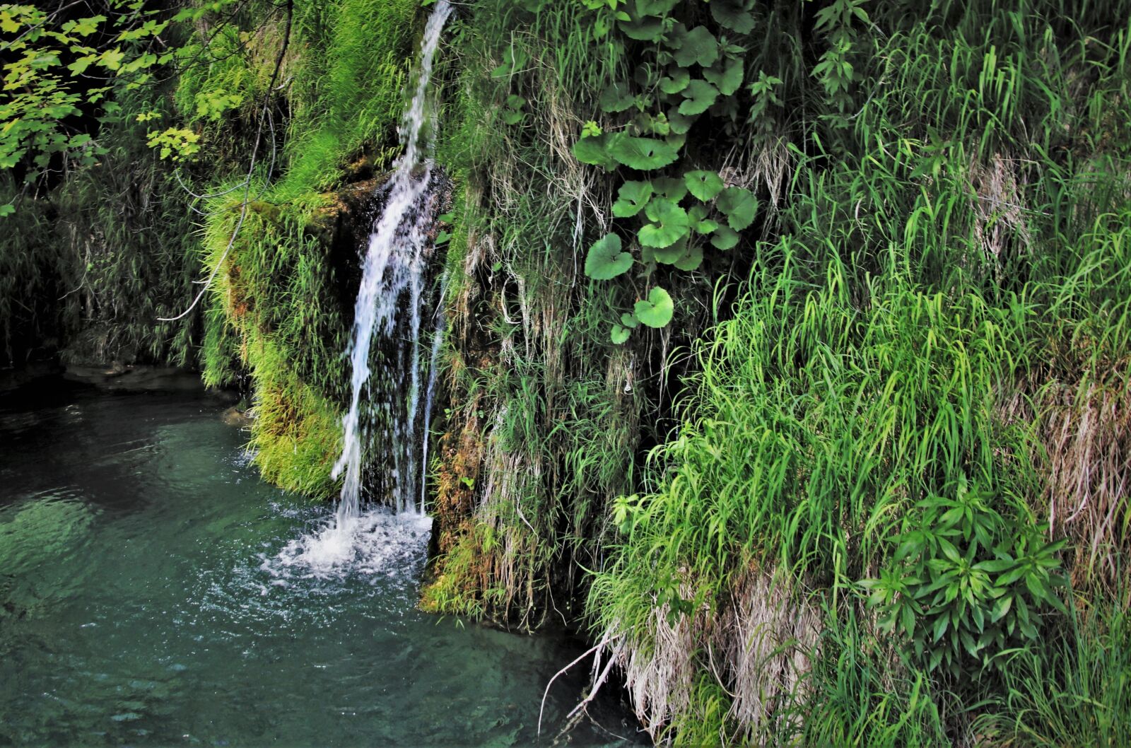 Canon EOS 80D sample photo. Croatia, plitvice, the nature photography
