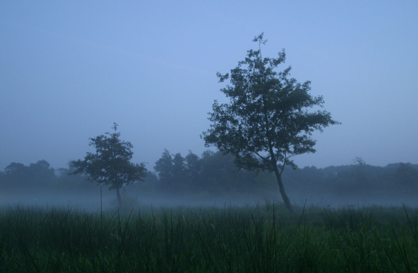 Canon EOS D60 sample photo